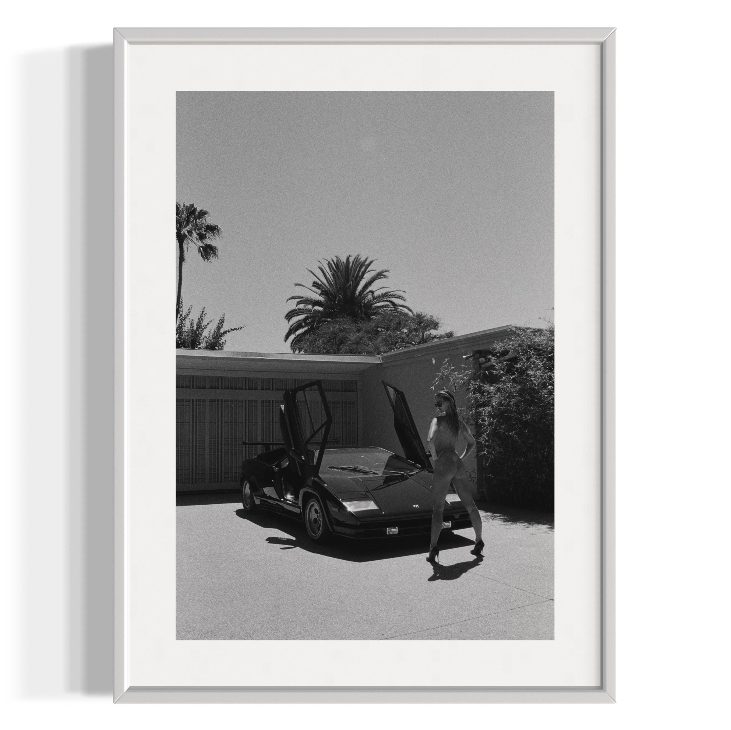 Daily Driver - Wall of Venus