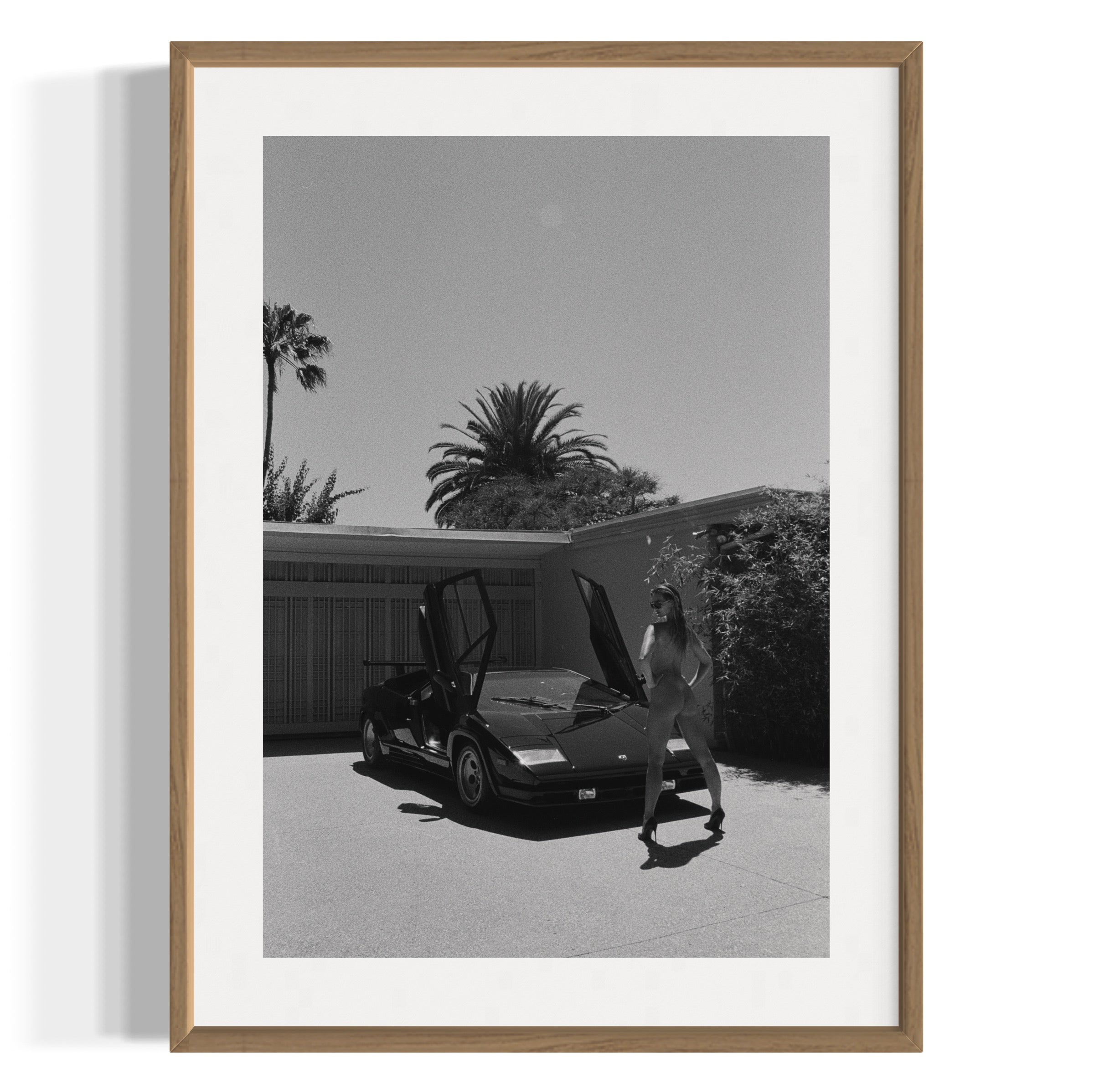 Daily Driver - Wall of Venus