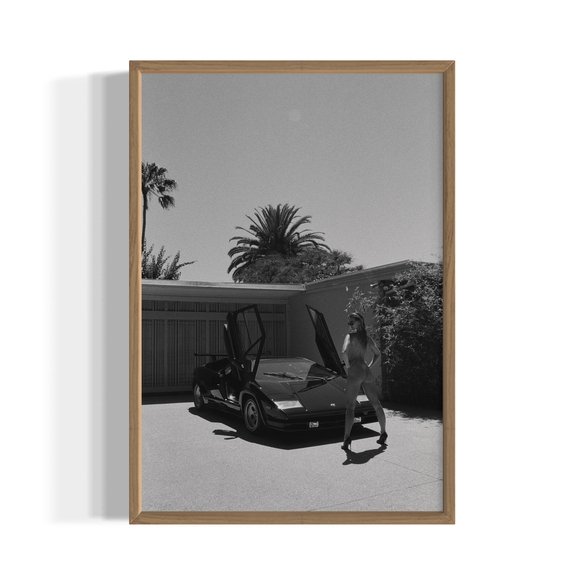 Daily Driver - Wall of Venus