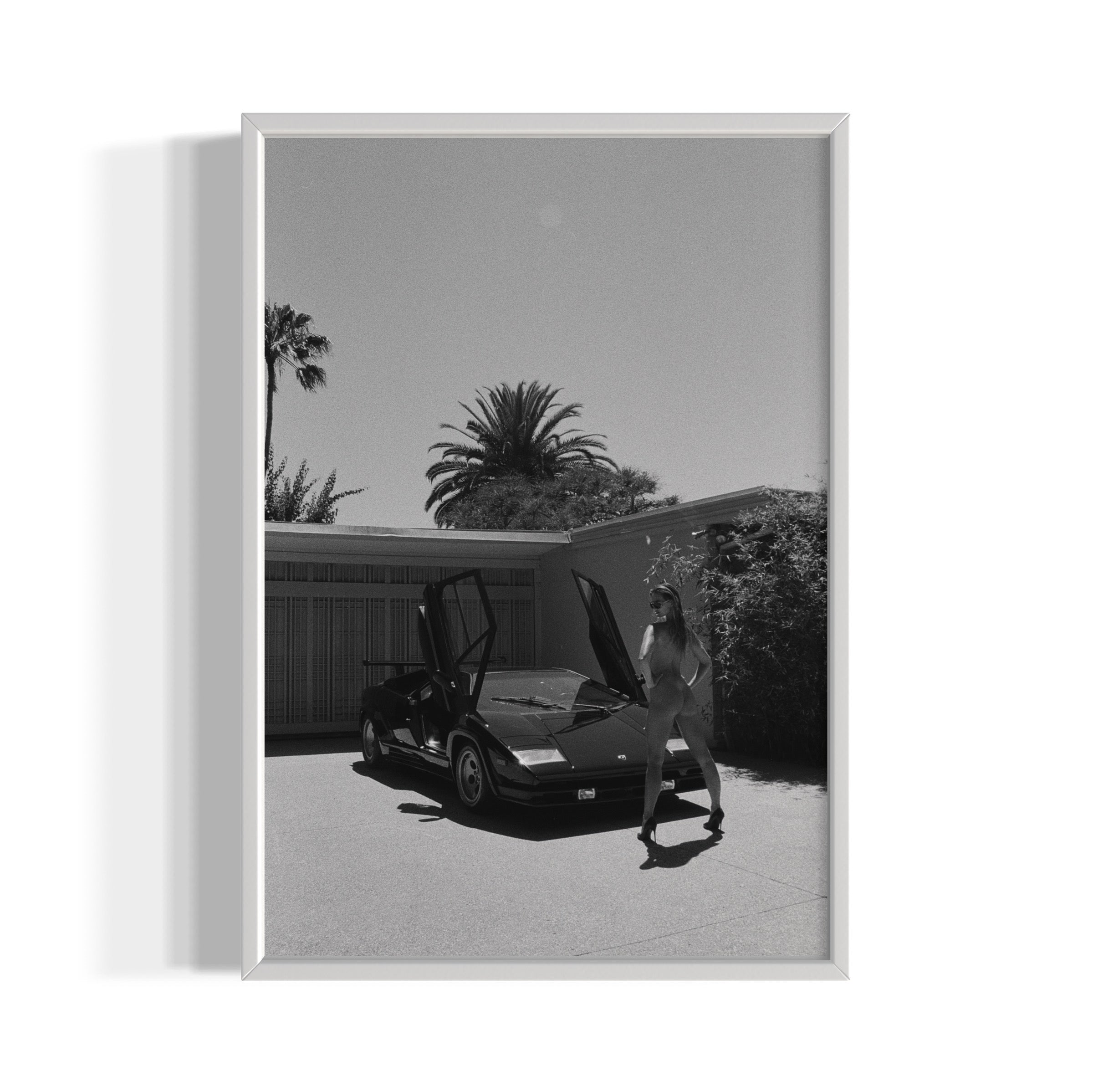 Daily Driver - Wall of Venus