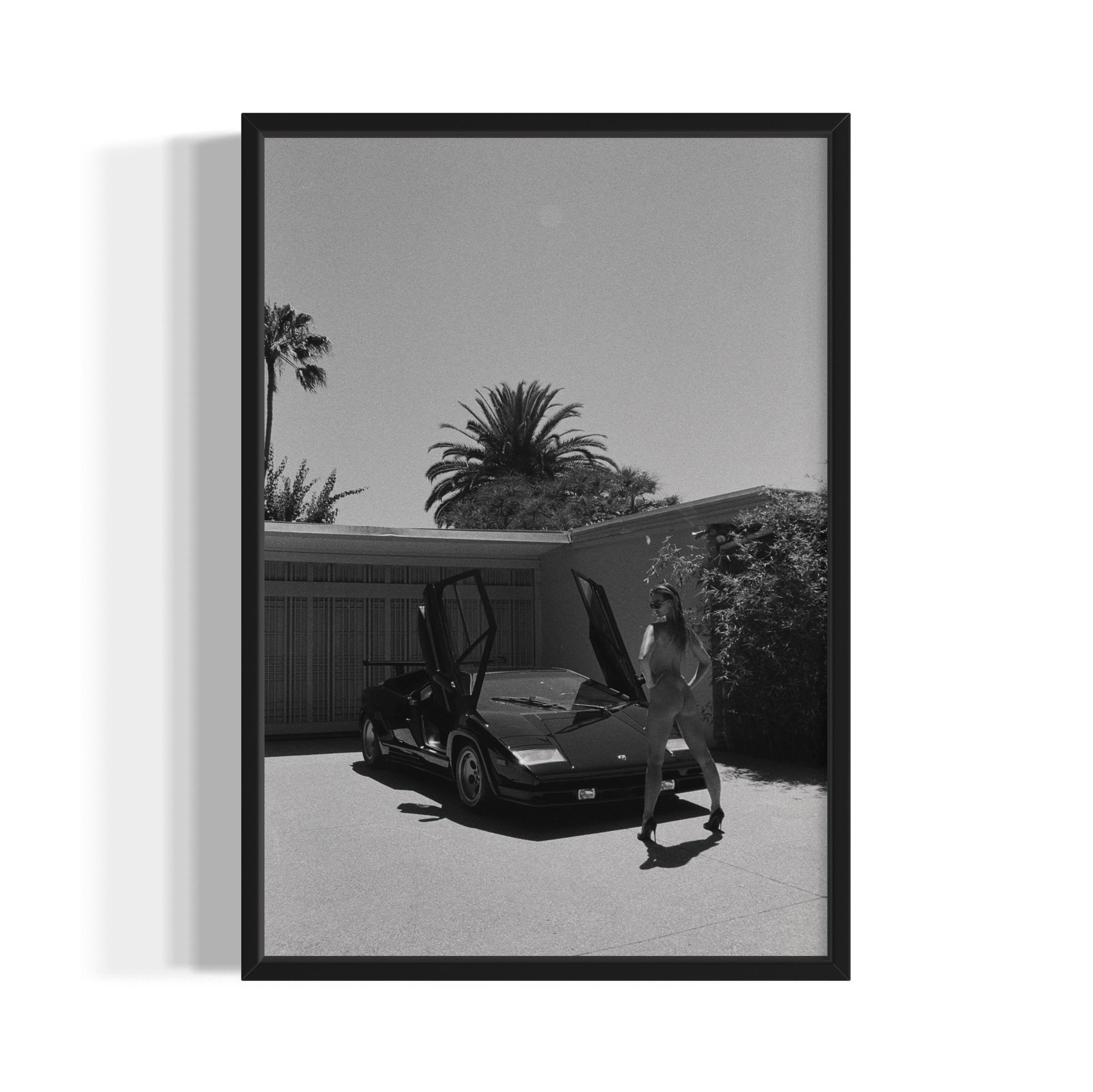 Daily Driver - Wall of Venus