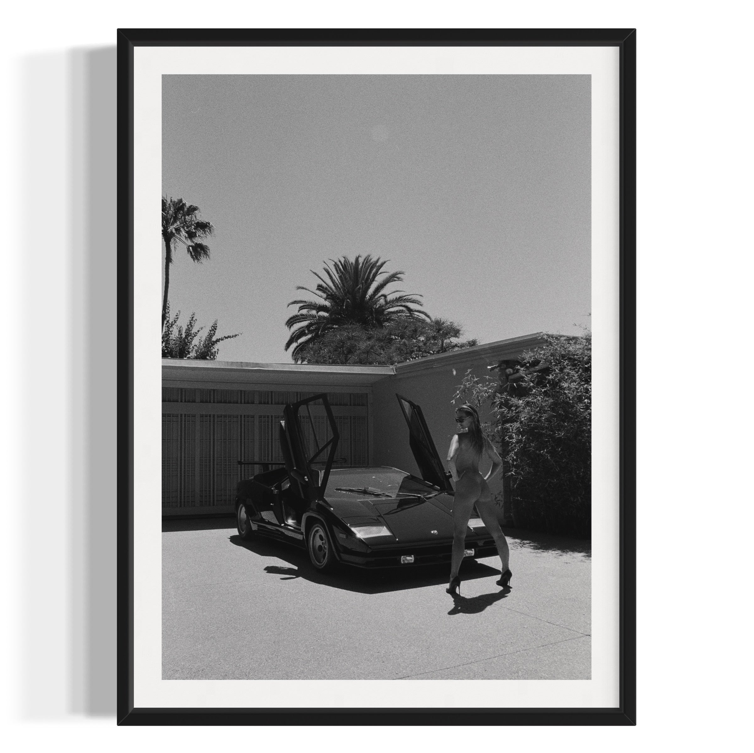 Daily Driver - Wall of Venus