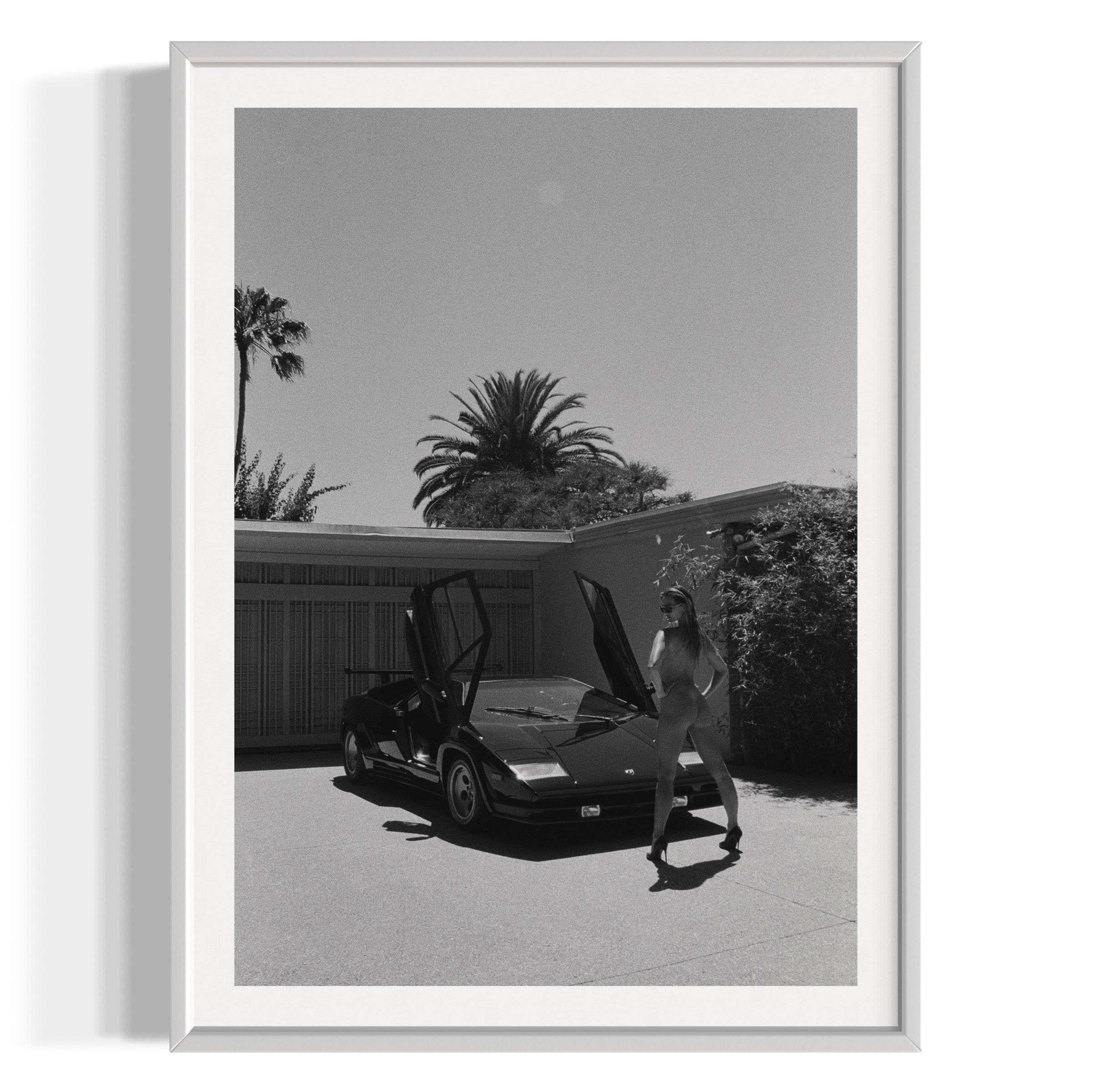 Daily Driver - Wall of Venus