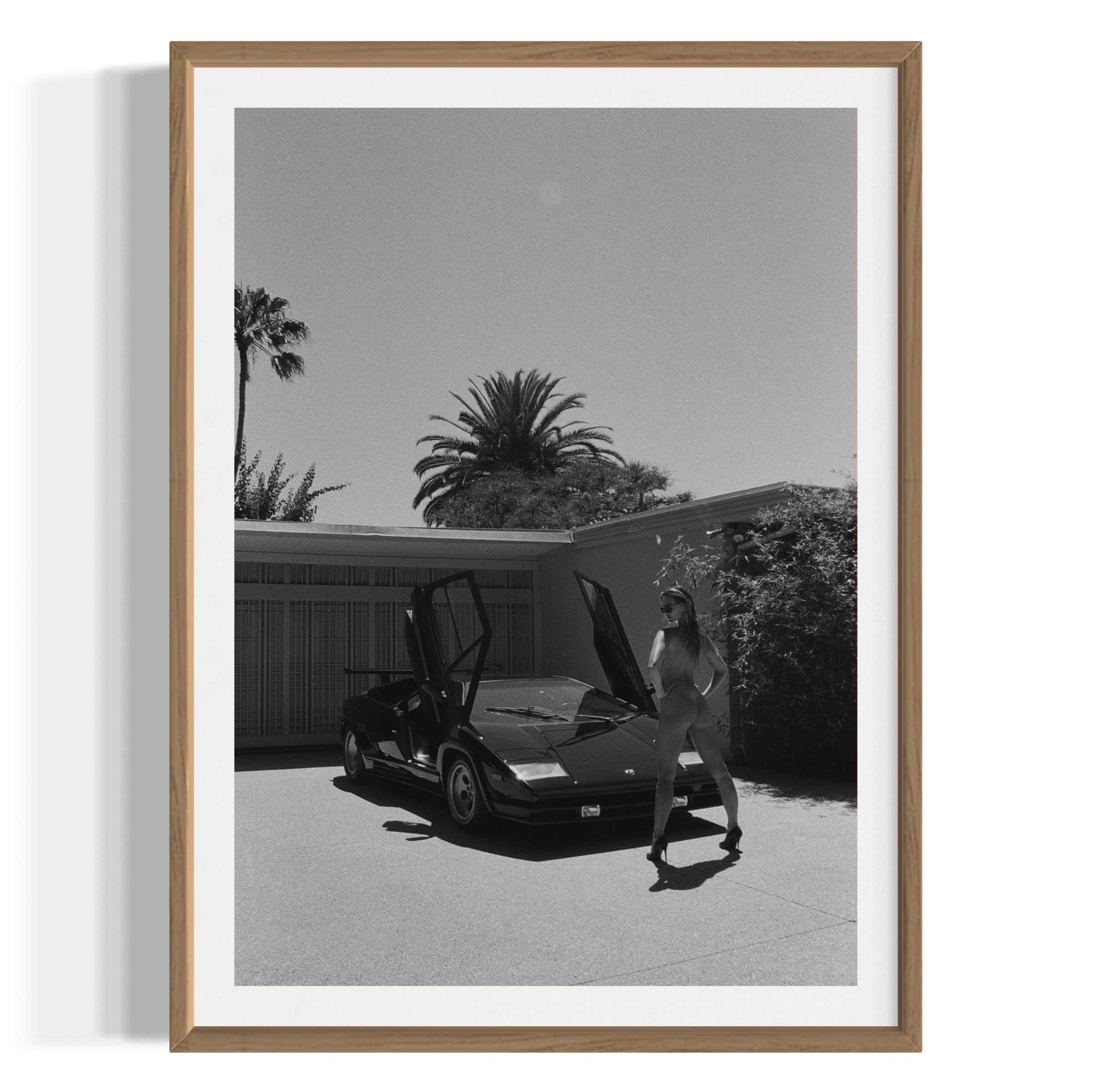 Daily Driver - Wall of Venus