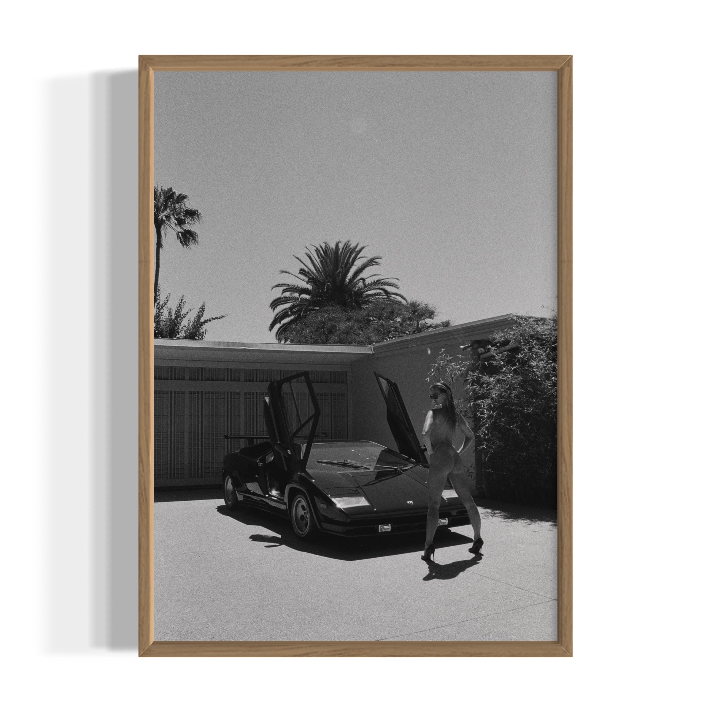 Daily Driver - Wall of Venus