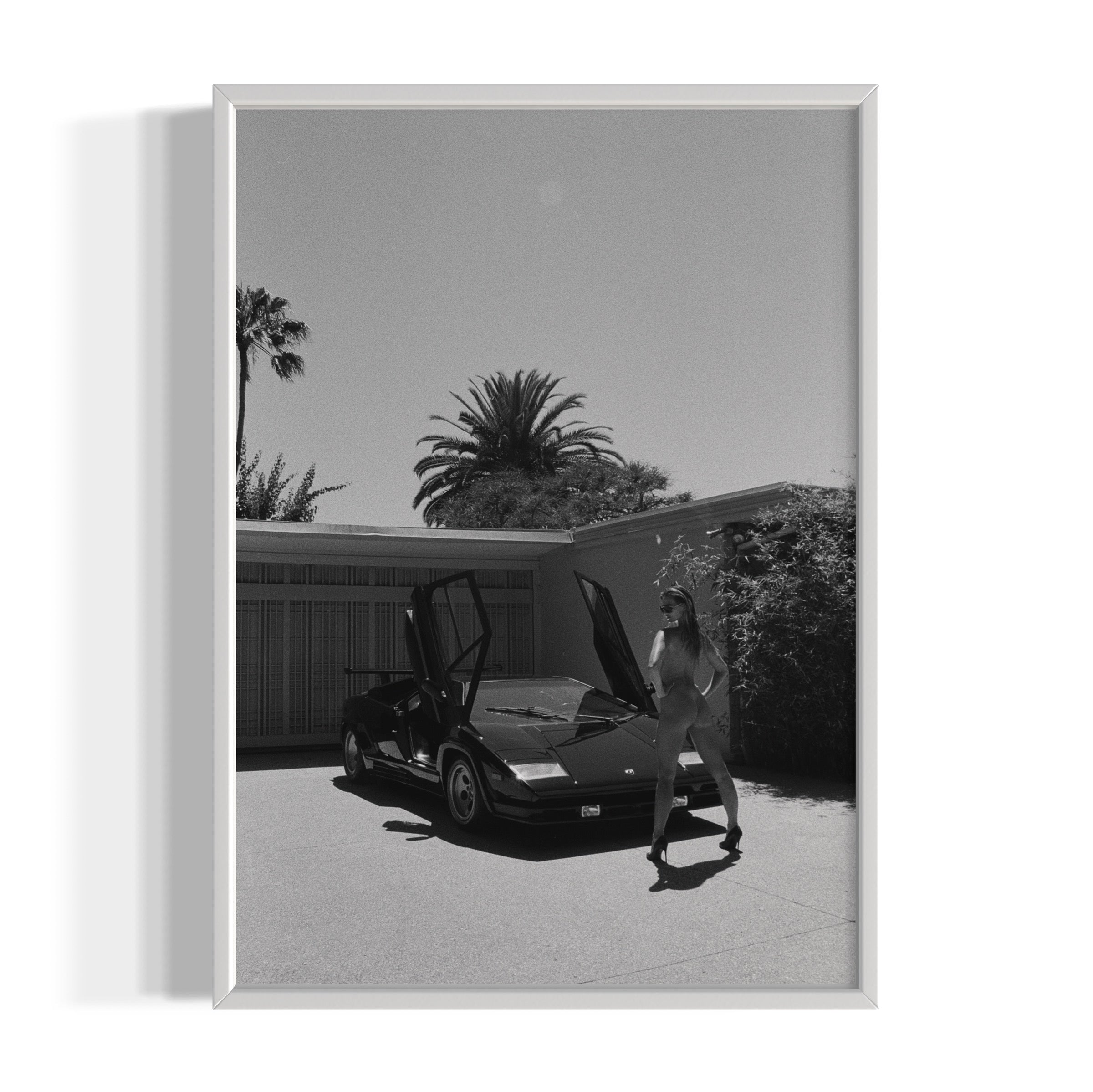 Daily Driver - Wall of Venus