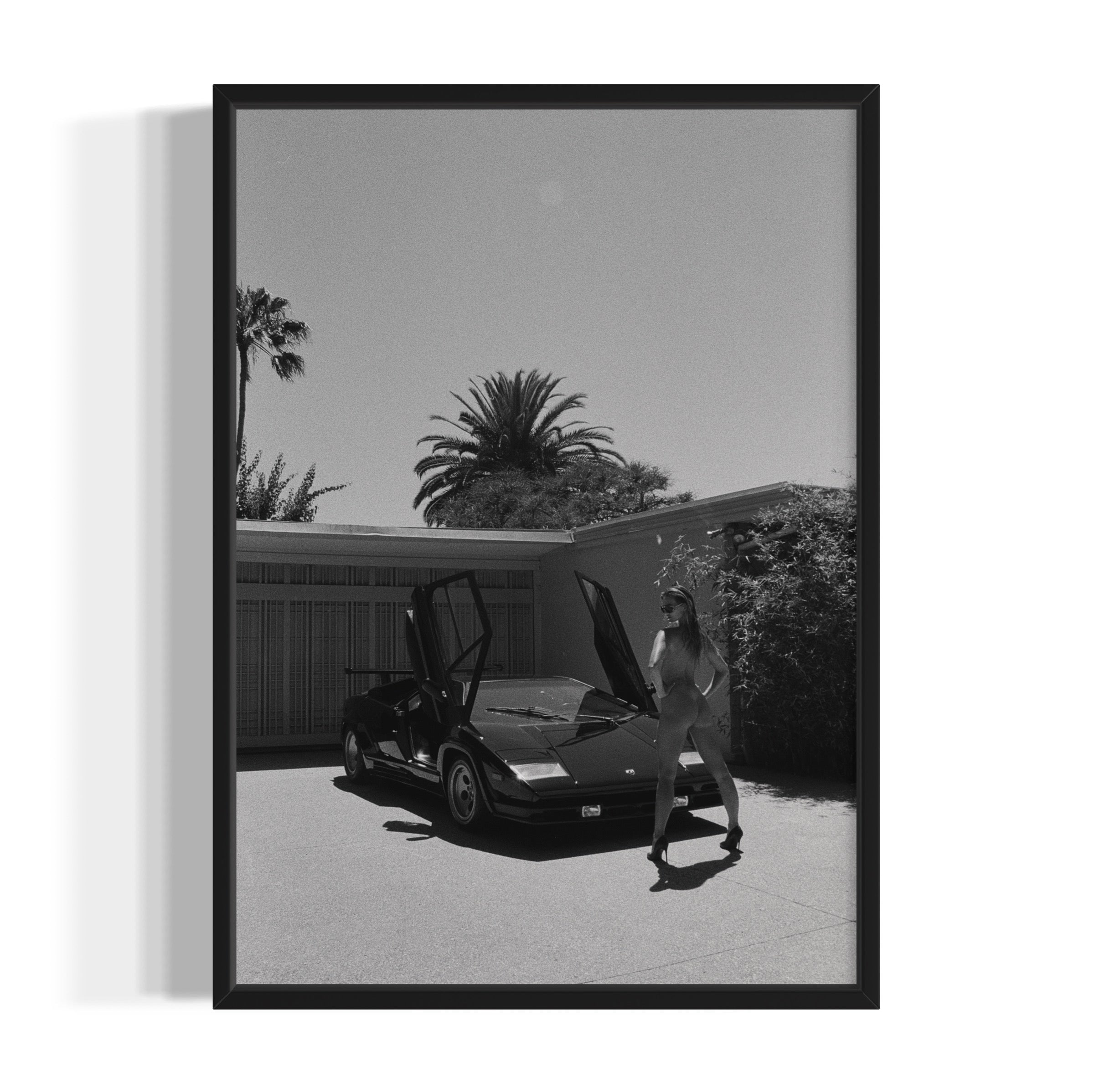 Daily Driver - Wall of Venus