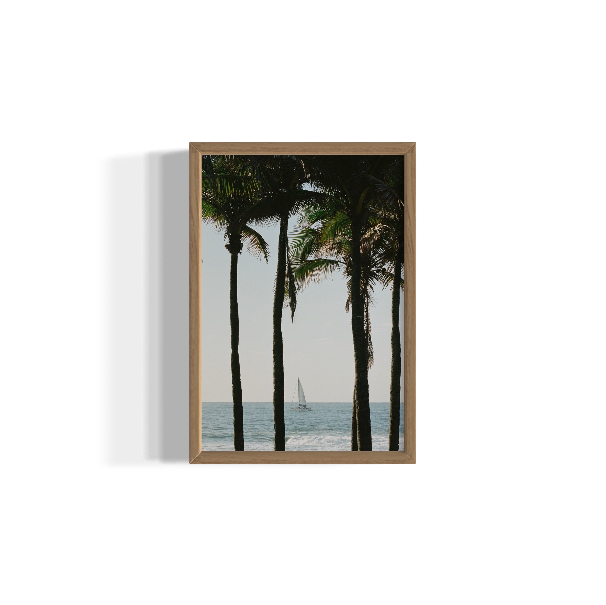 Pale Blue Dot - Wall of Venus