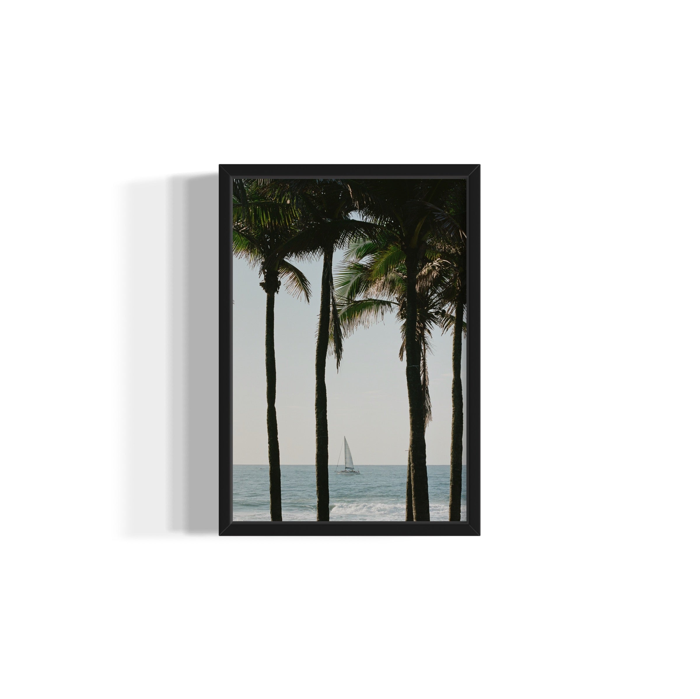 Pale Blue Dot - Wall of Venus