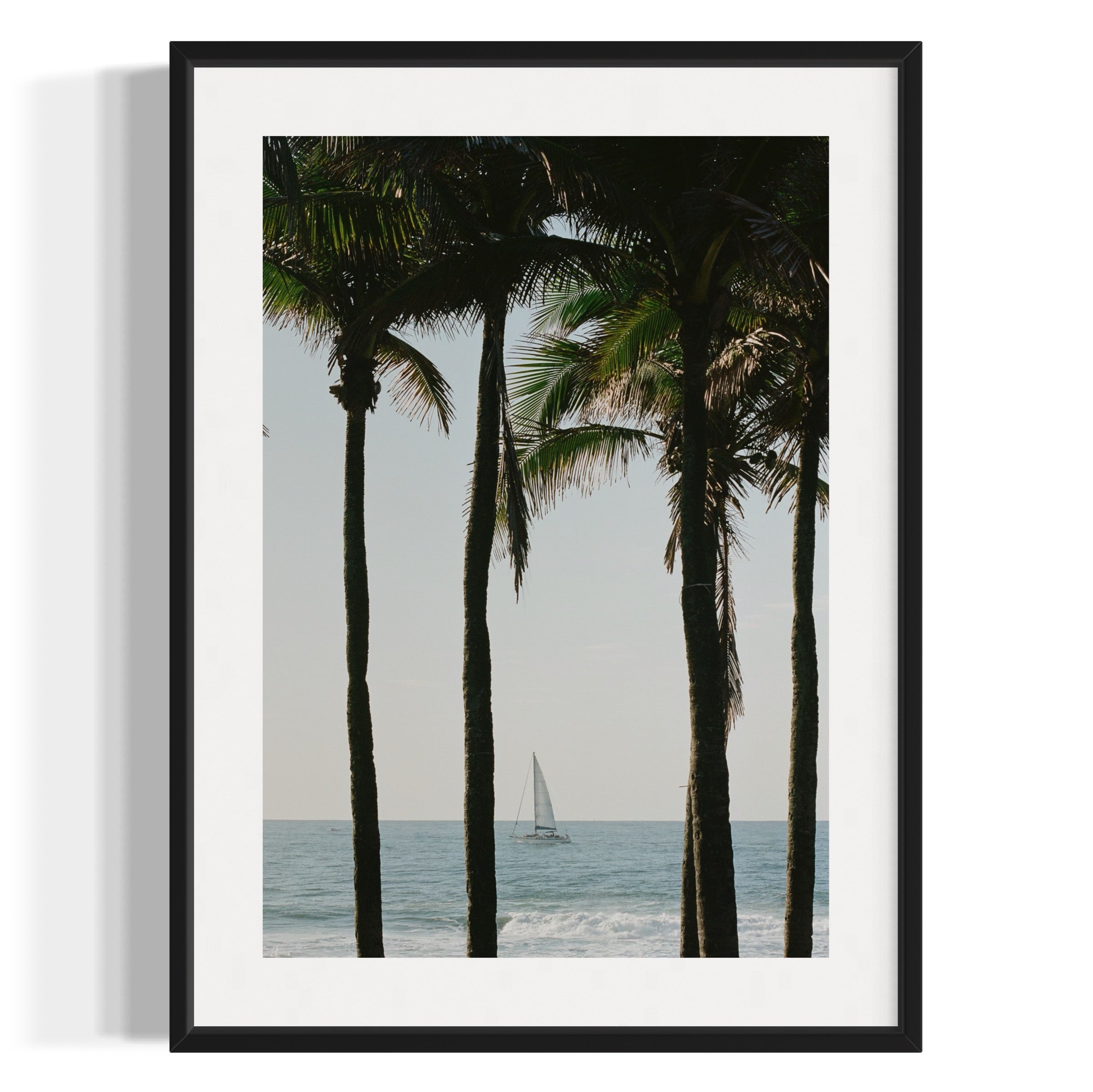 Pale Blue Dot - Wall of Venus