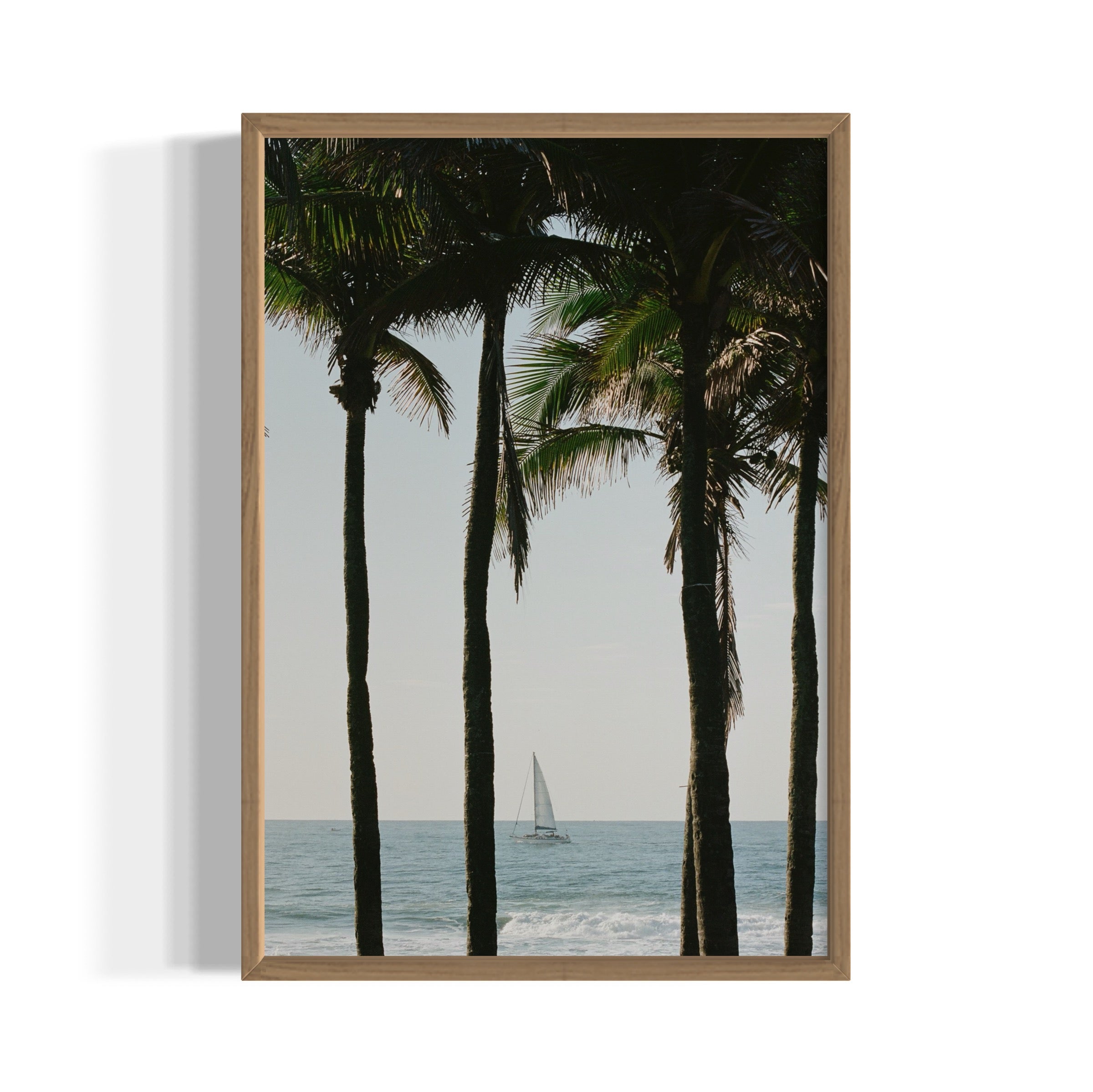 Pale Blue Dot - Wall of Venus