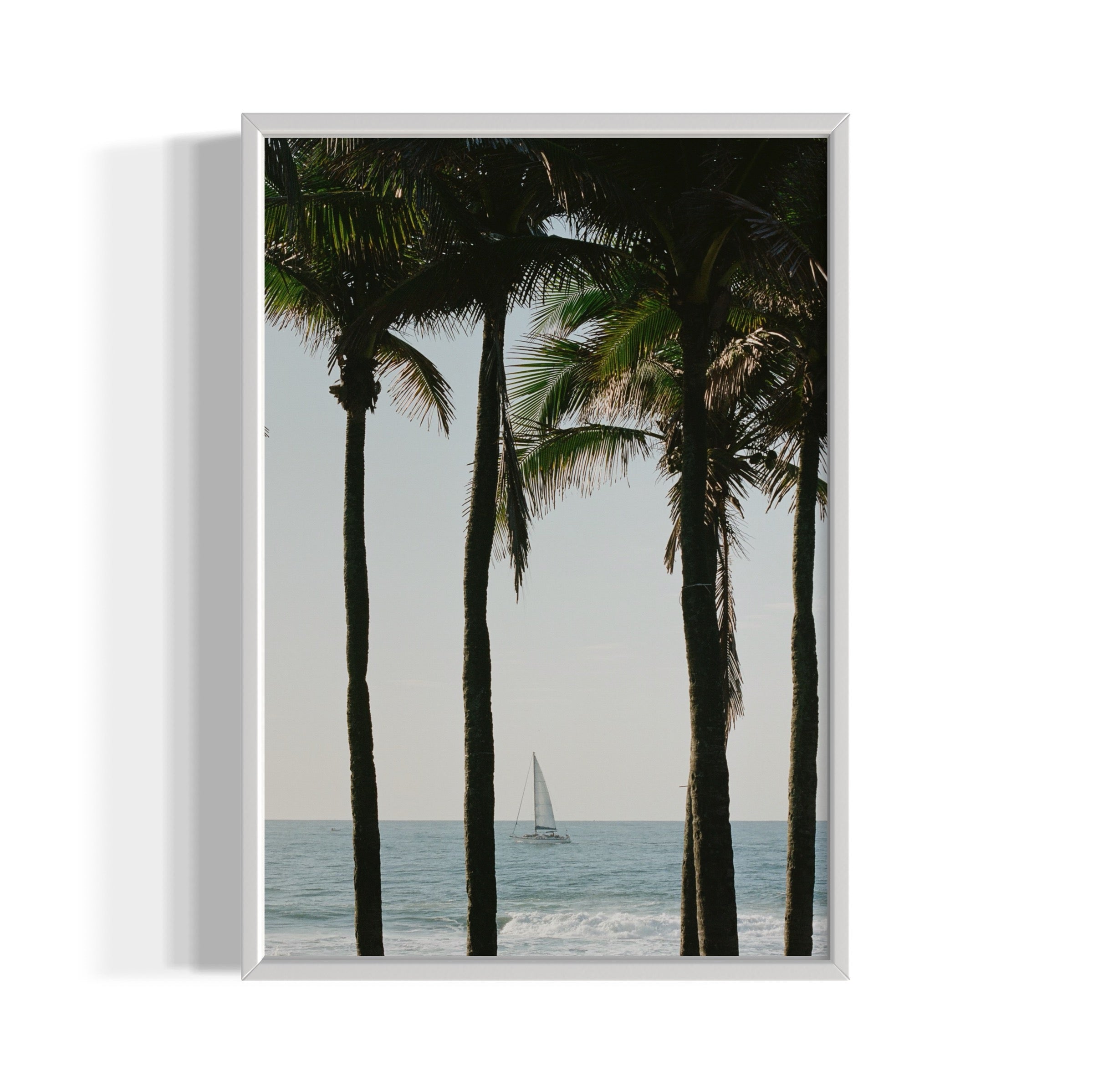 Pale Blue Dot - Wall of Venus