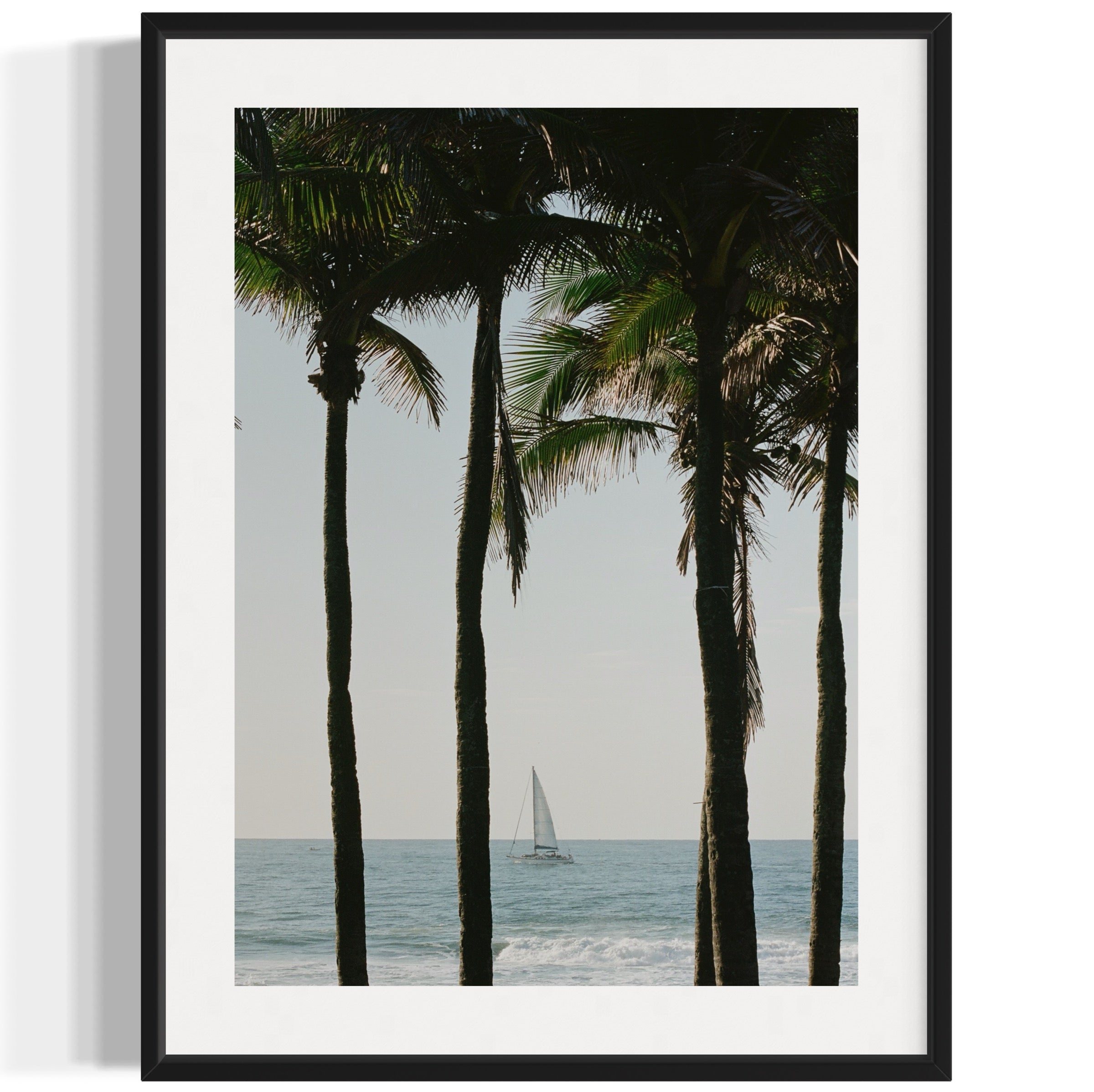 Pale Blue Dot - Wall of Venus