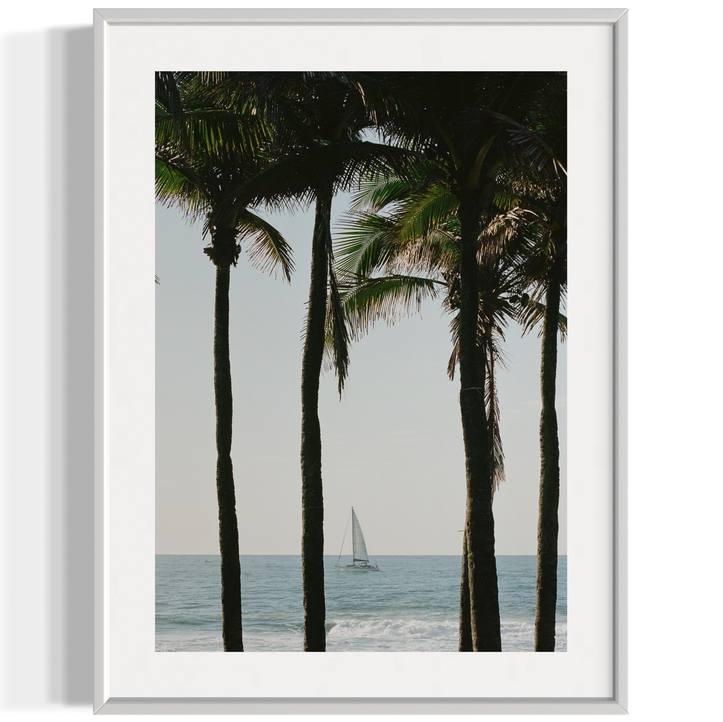 Pale Blue Dot - Wall of Venus