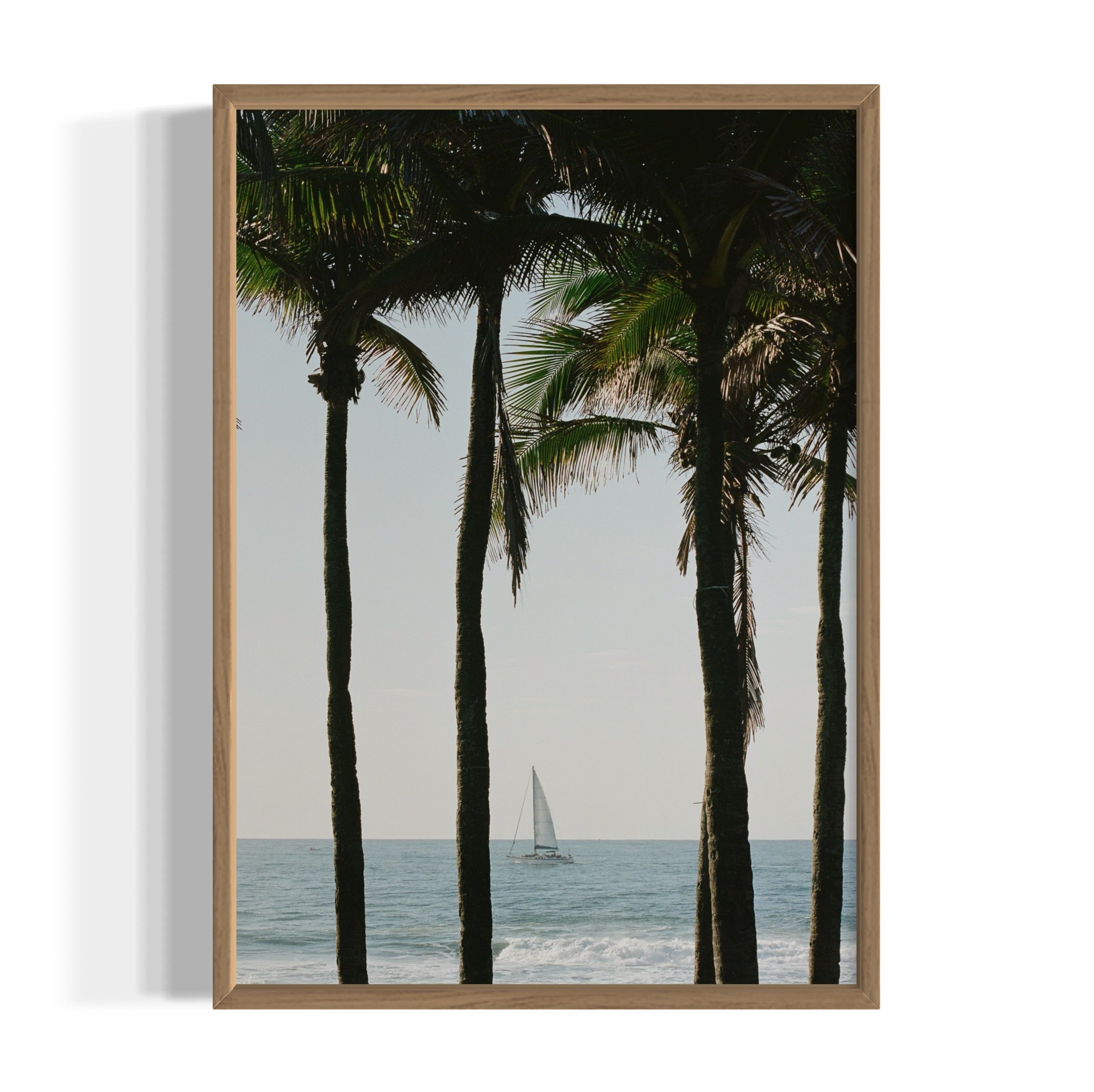 Pale Blue Dot - Wall of Venus