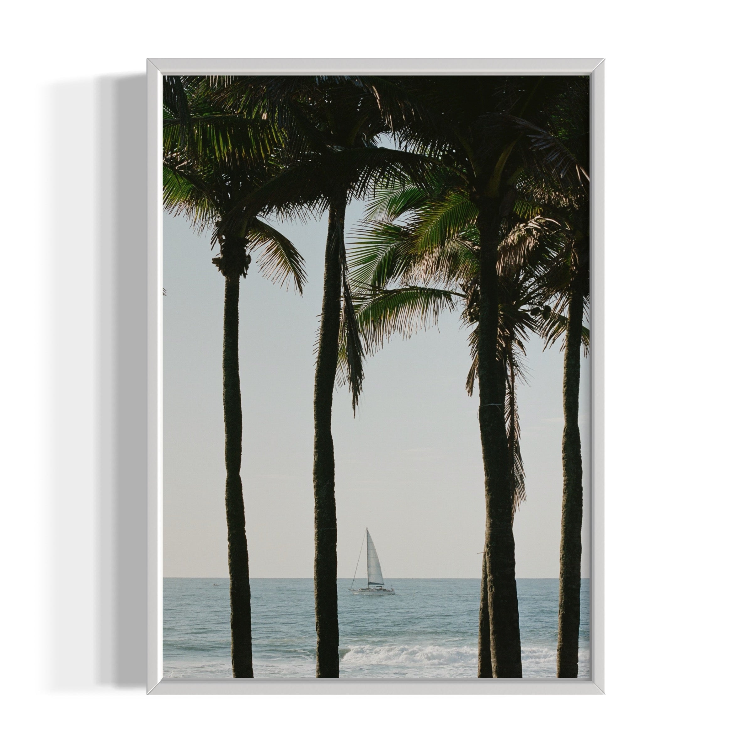 Pale Blue Dot - Wall of Venus