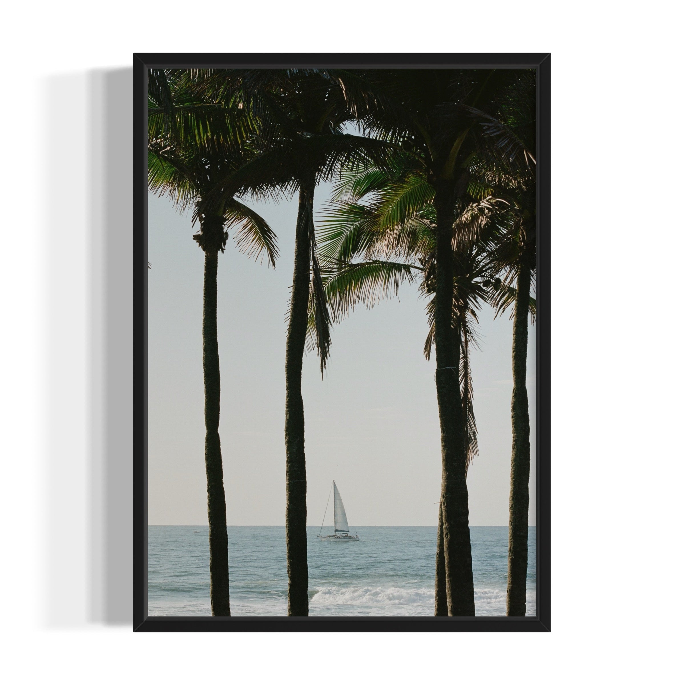 Pale Blue Dot - Wall of Venus