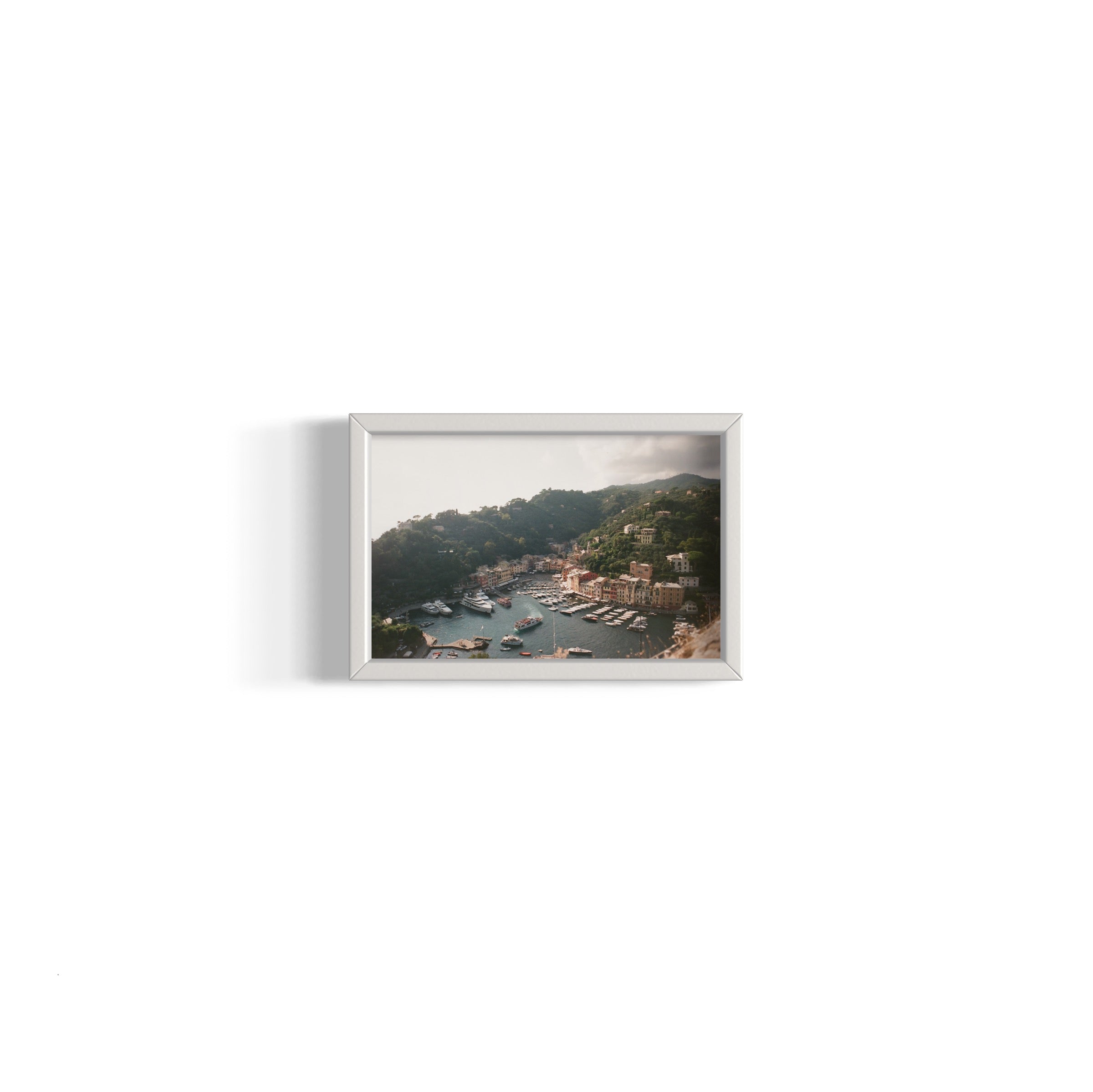 Love in Portofino - Wall of Venus