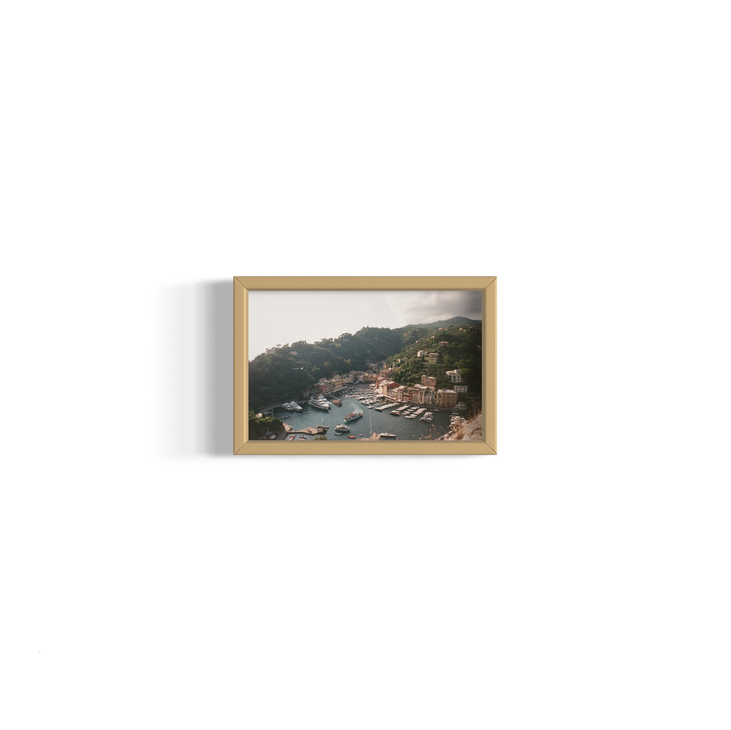 Love in Portofino - Wall of Venus