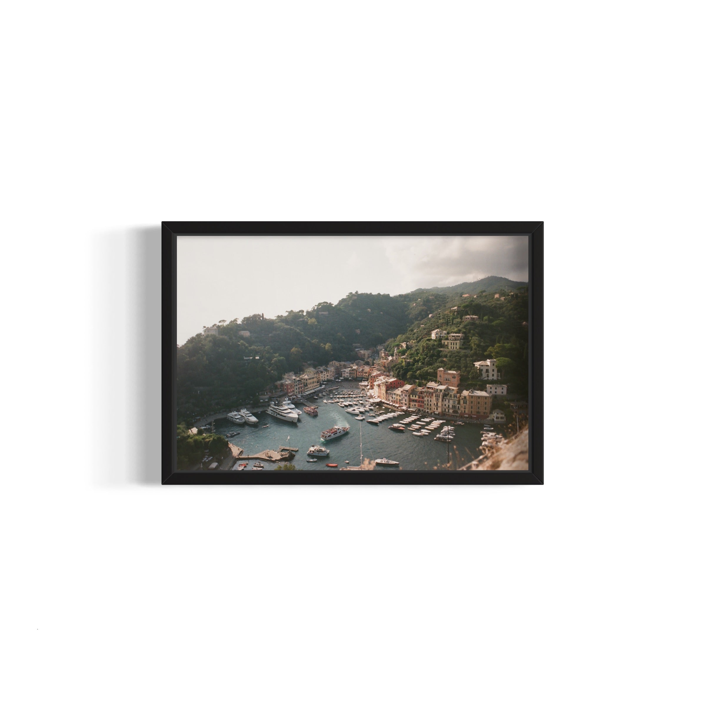 Love in Portofino - Wall of Venus