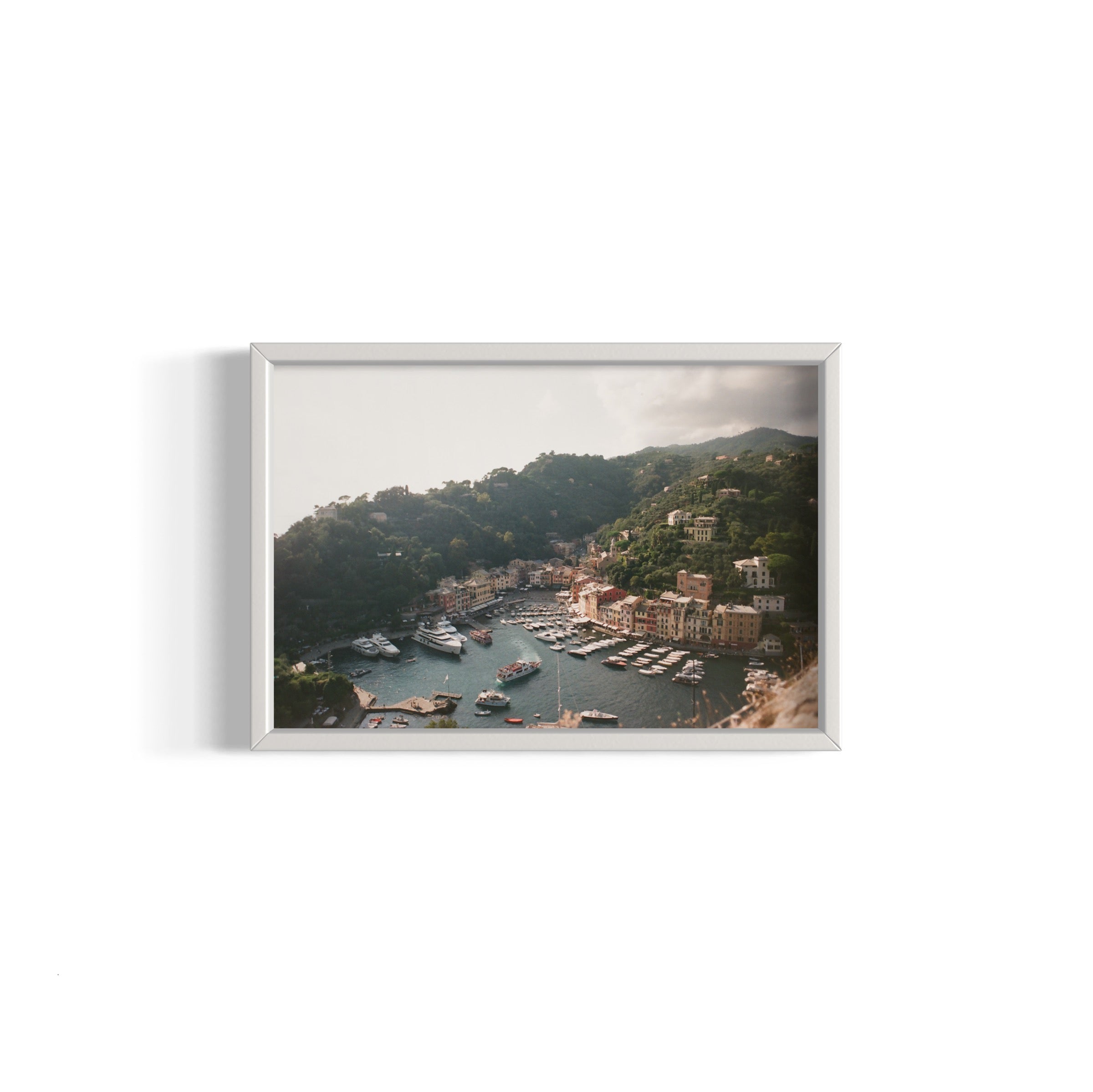 Love in Portofino - Wall of Venus