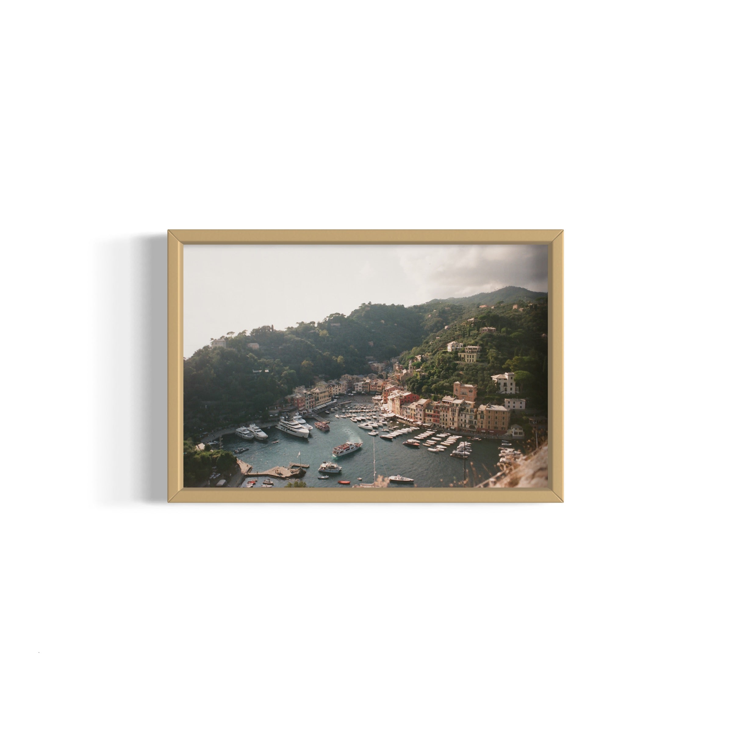 Love in Portofino - Wall of Venus
