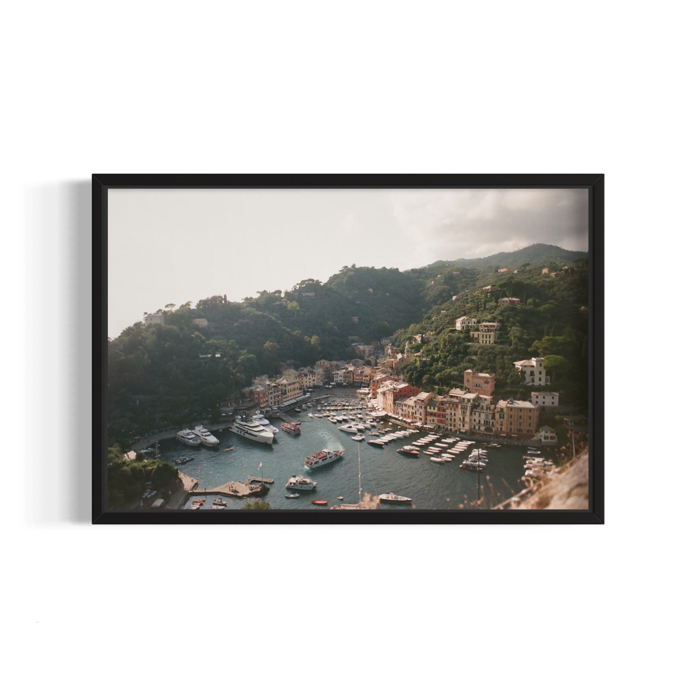 Love in Portofino - Wall of Venus