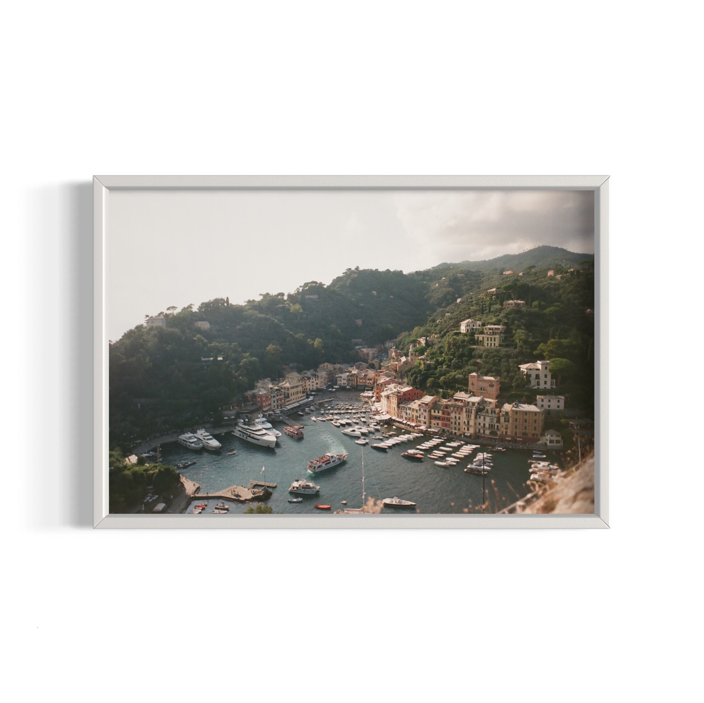Love in Portofino - Wall of Venus