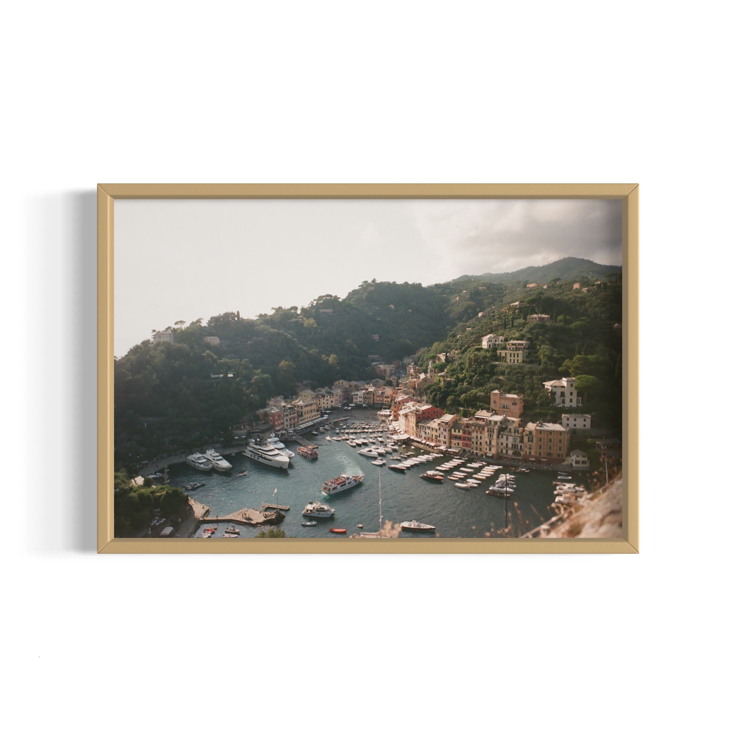 Love in Portofino - Wall of Venus