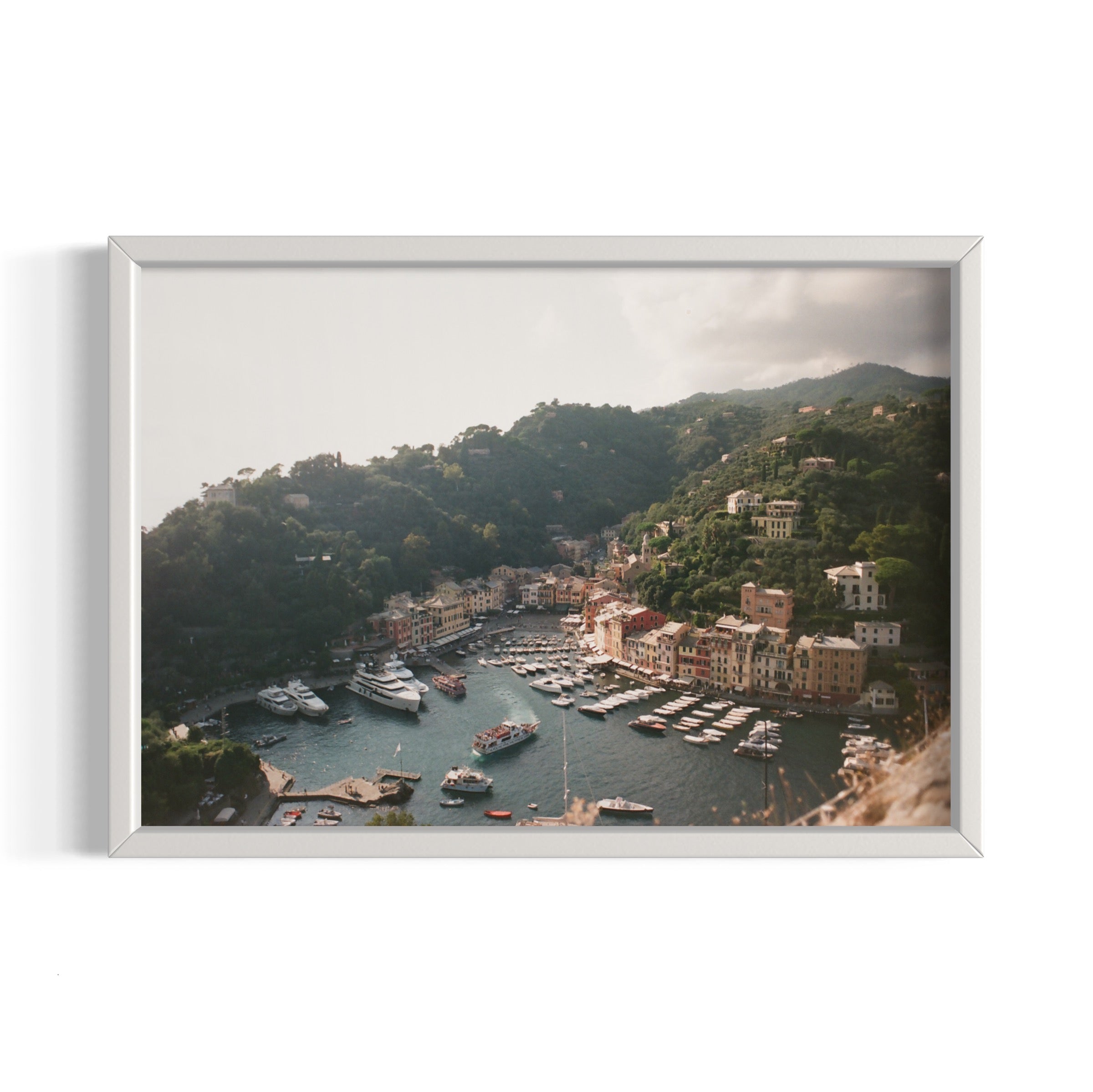 Love in Portofino - Wall of Venus