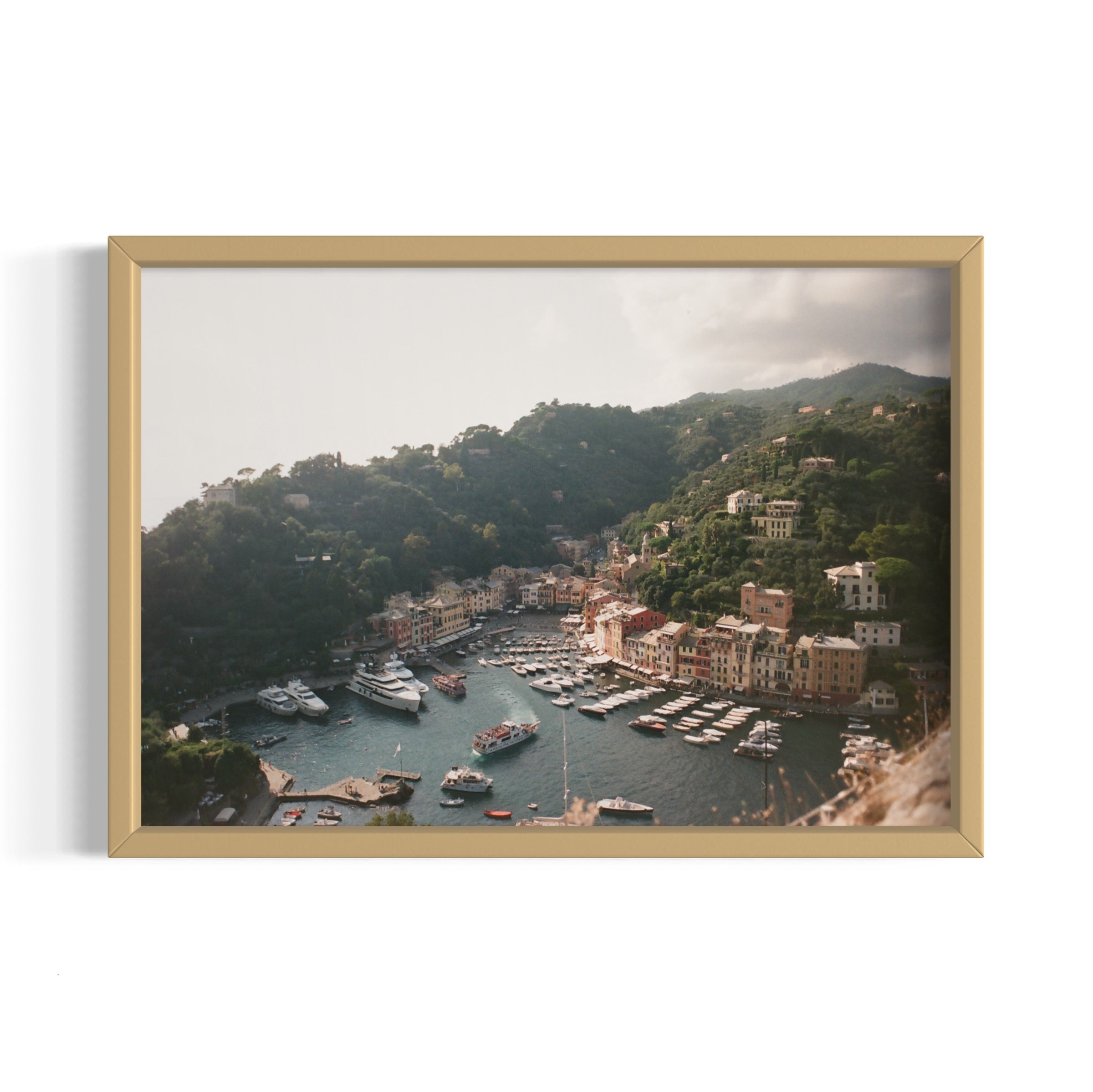 Love in Portofino - Wall of Venus