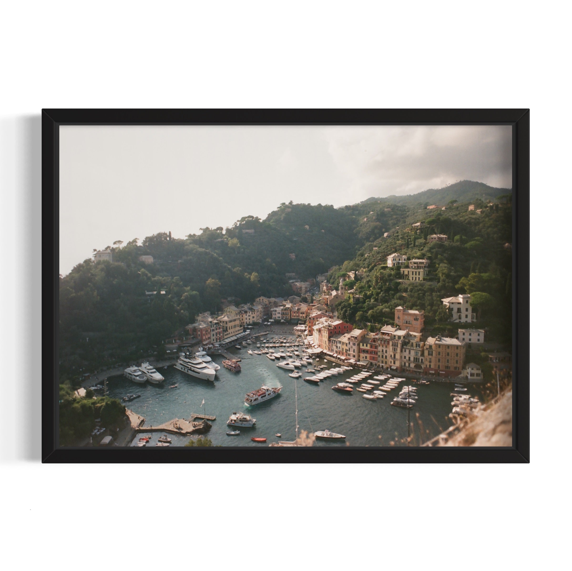 Love in Portofino - Wall of Venus