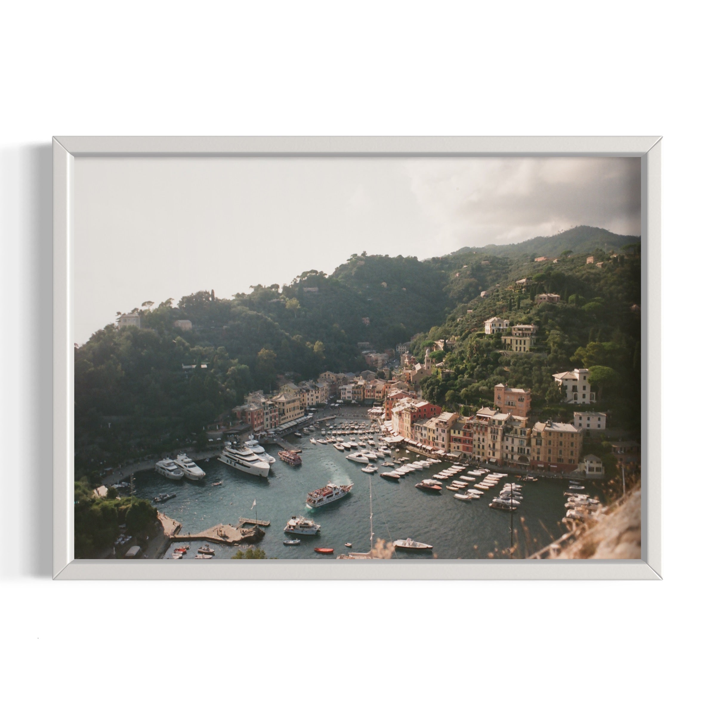 Love in Portofino - Wall of Venus
