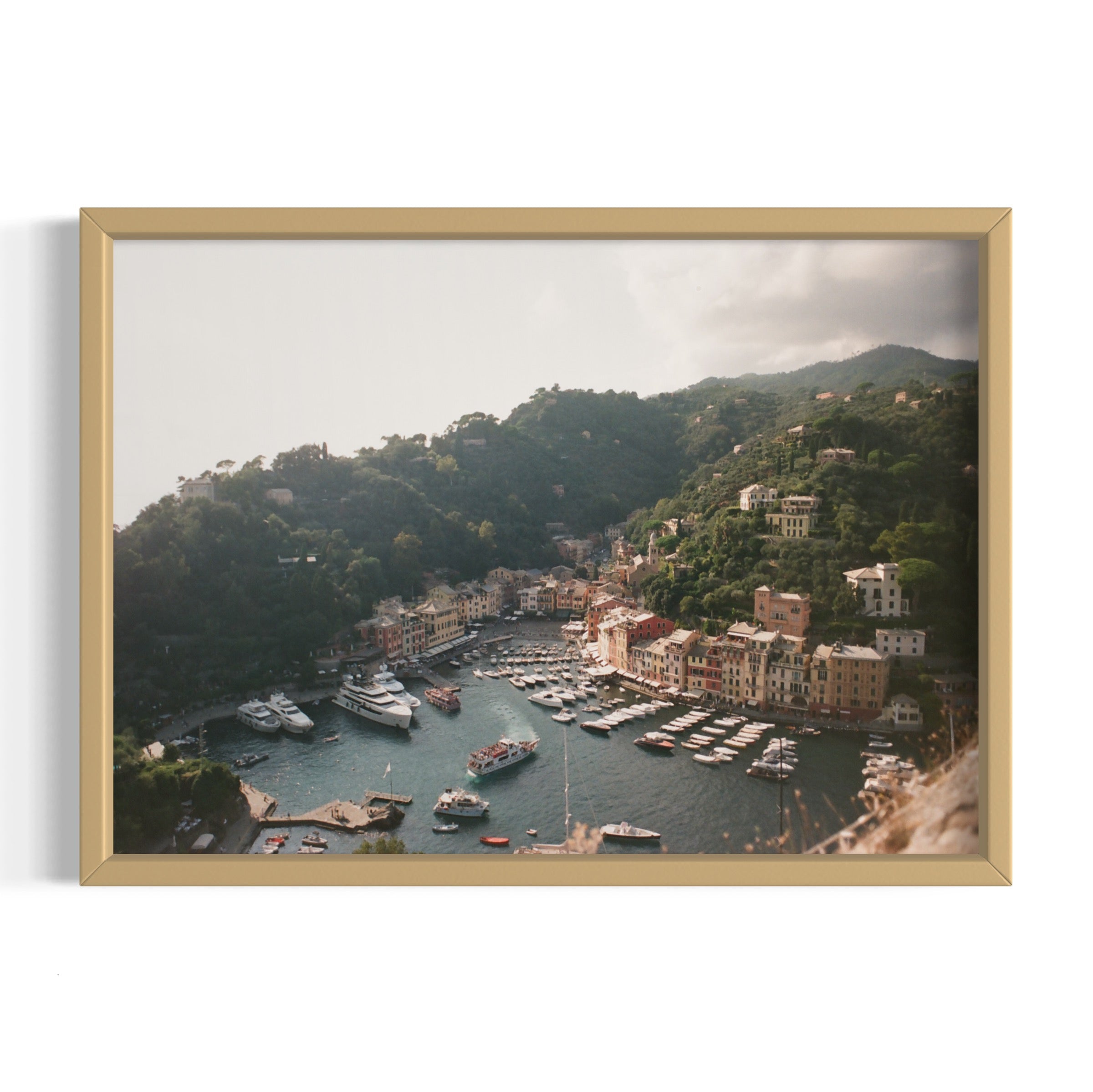 Love in Portofino - Wall of Venus
