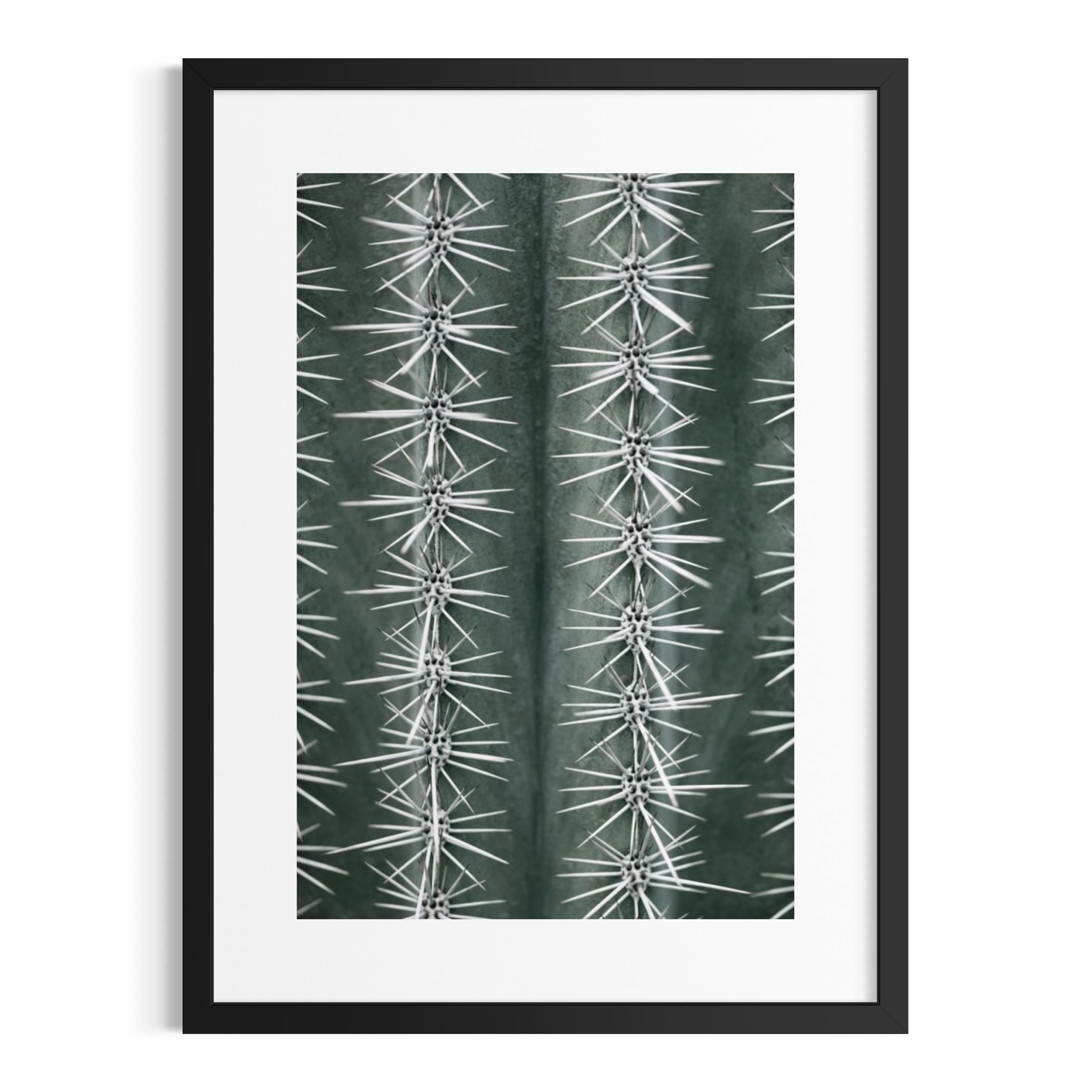 Sharp Cactus Pattern