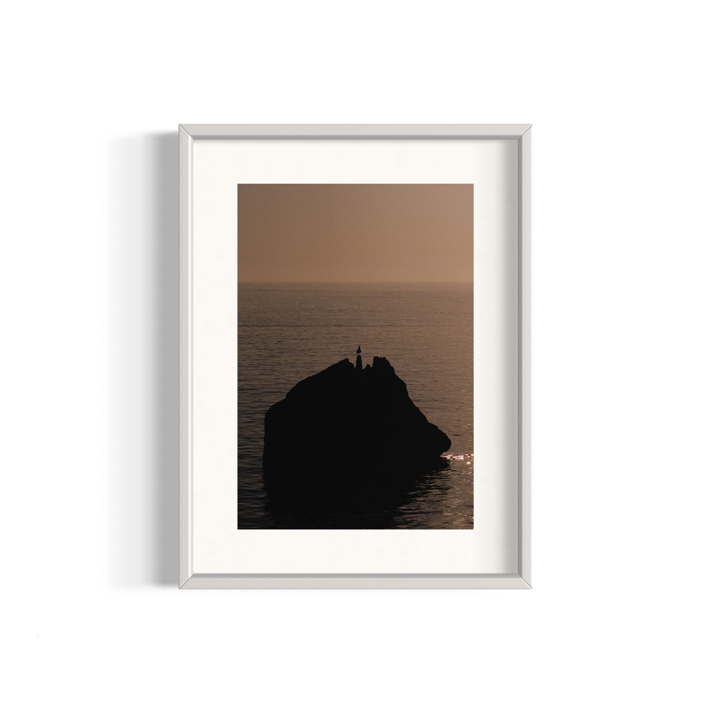 Seagull - Wall of Venus