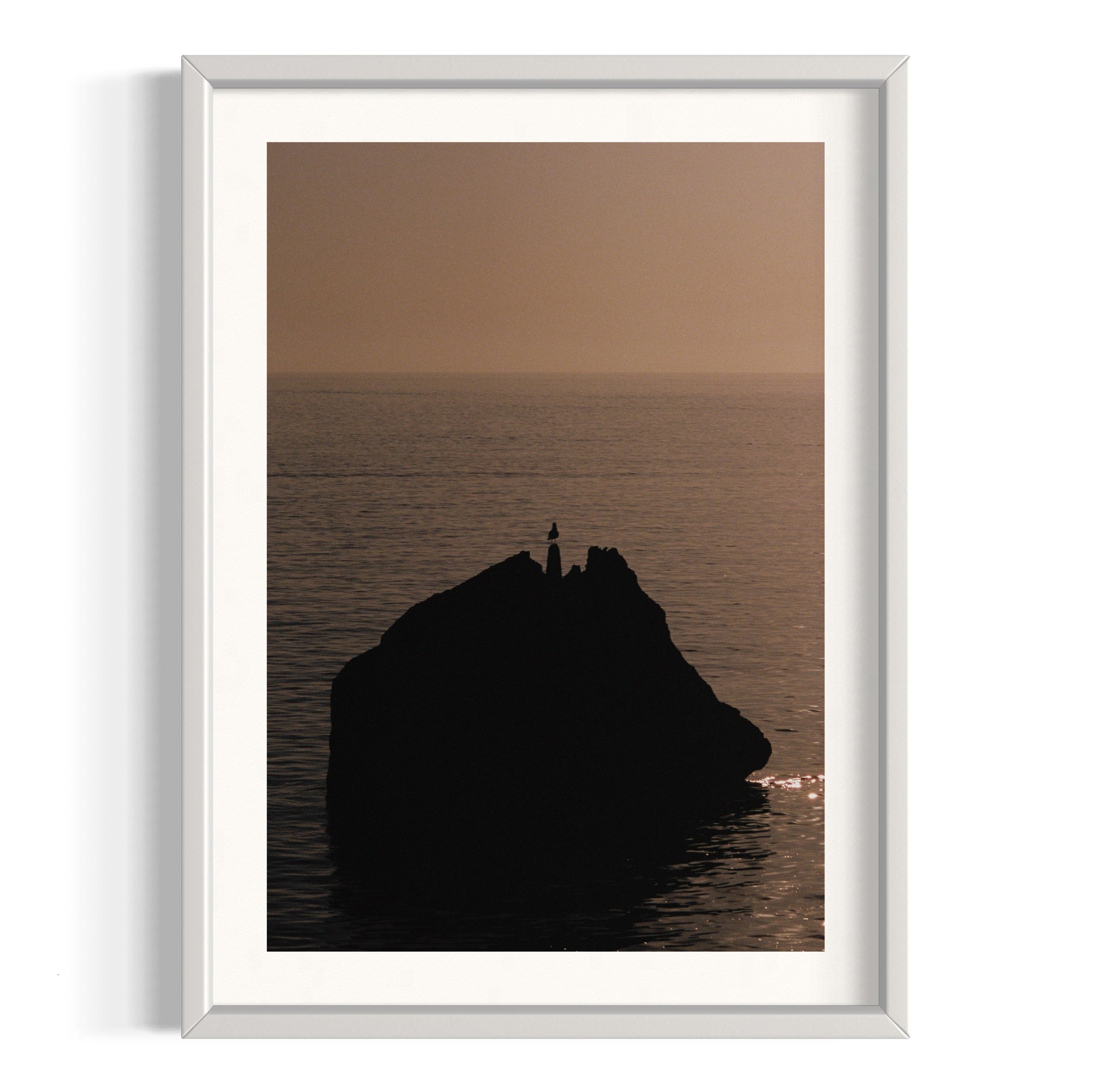 Seagull - Wall of Venus