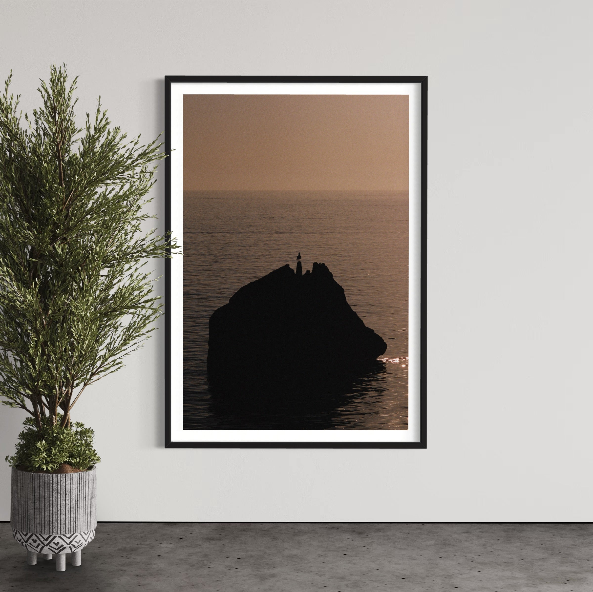 Seagull - Wall of Venus