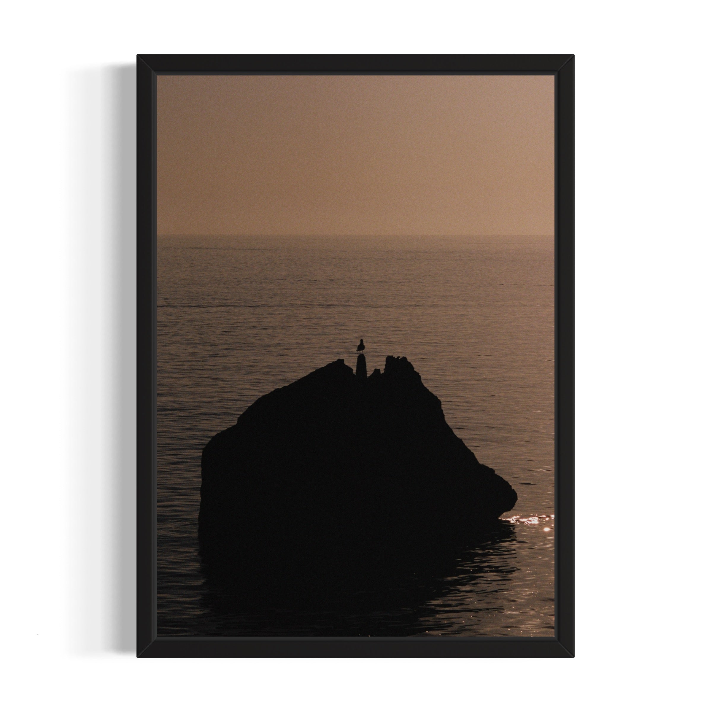 Seagull - Wall of Venus