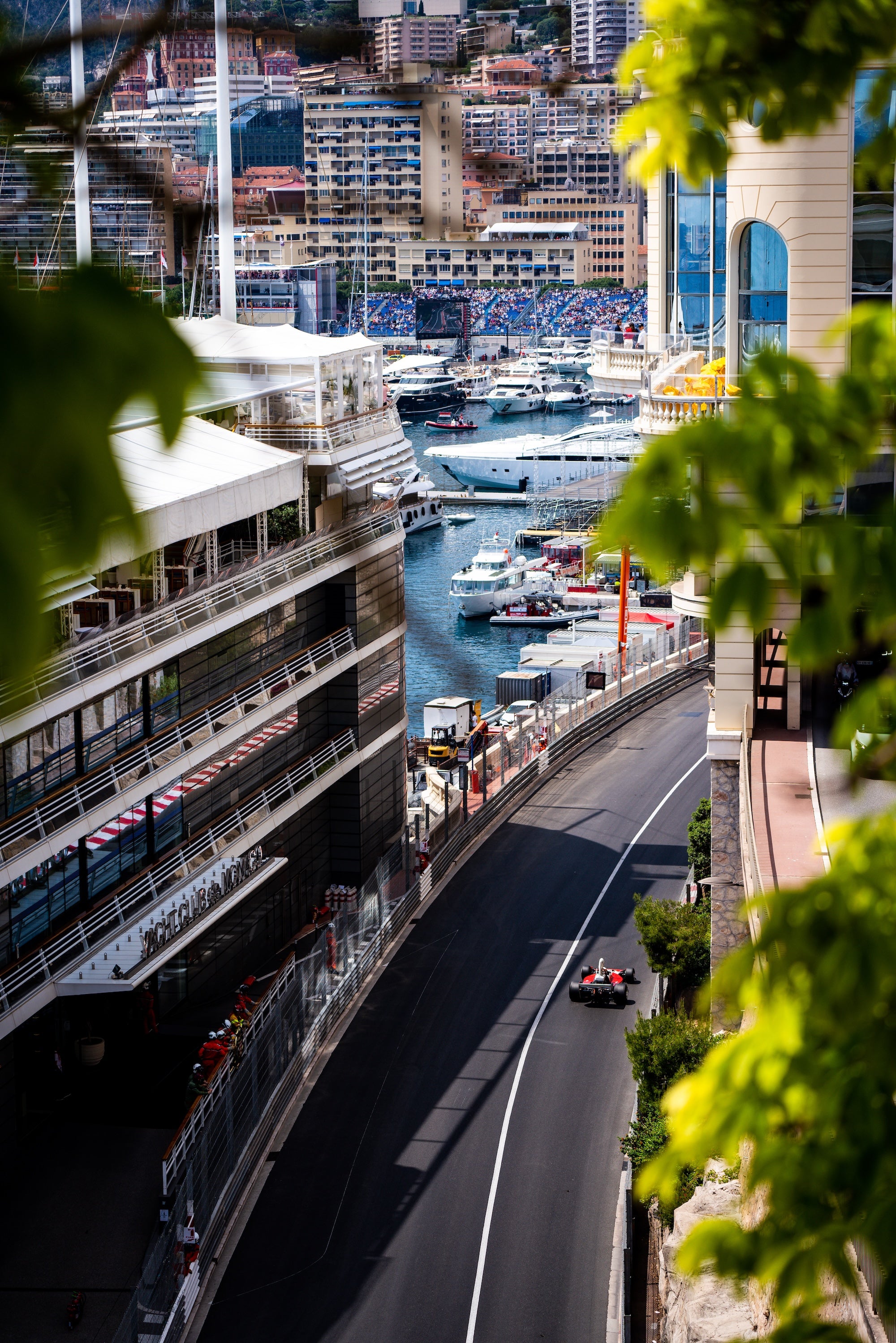 Marina Rush - Wall of Venus