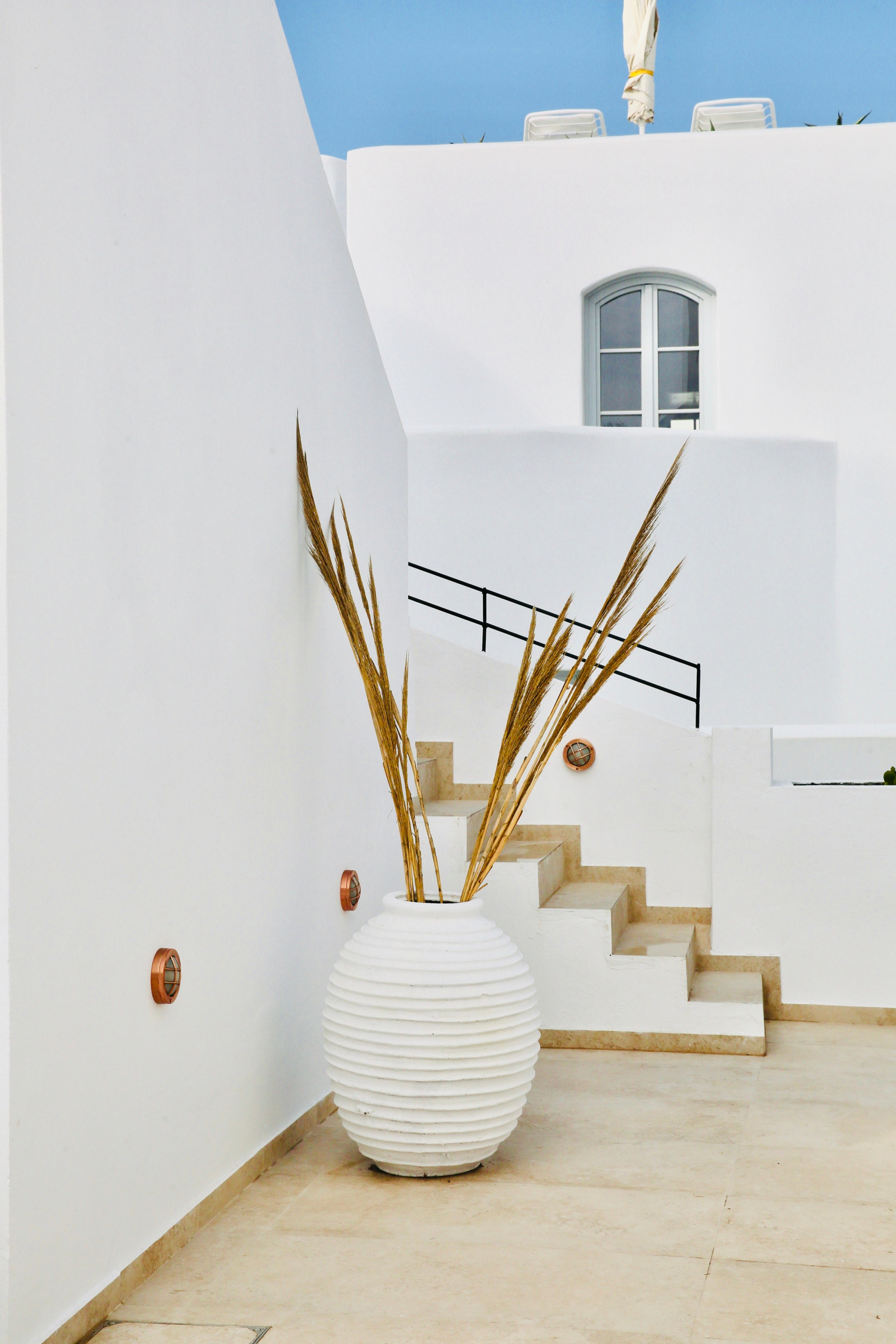 Oia Still Life - Wall of Venus