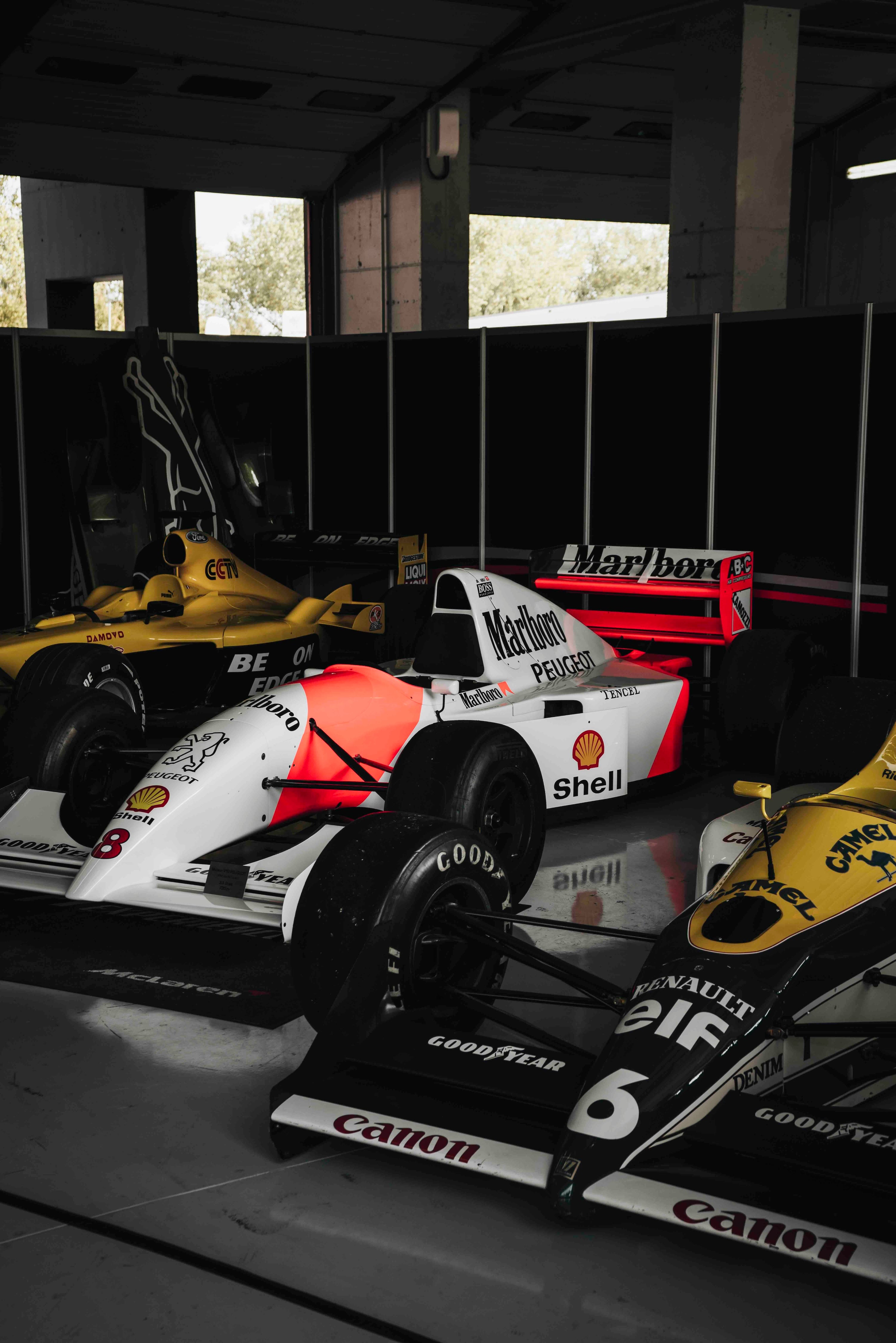 Old Ladies - Wall of Venus