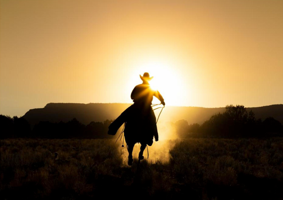The Cowboy