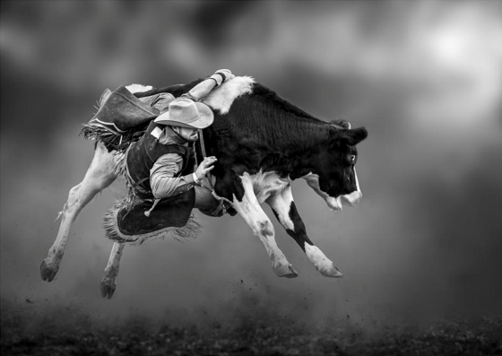 Bucking Calf Ride