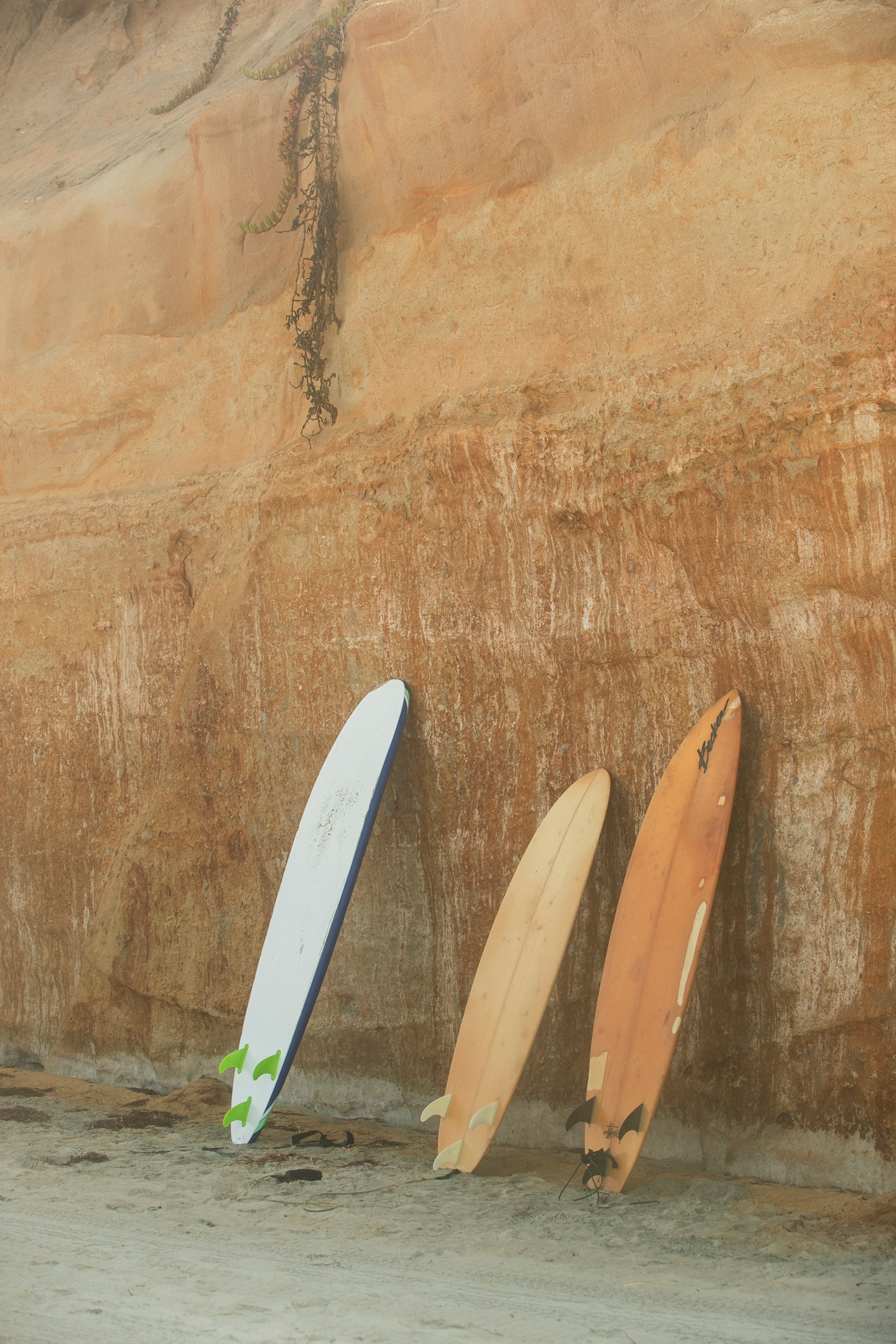 Solana Beach - Wall of Venus