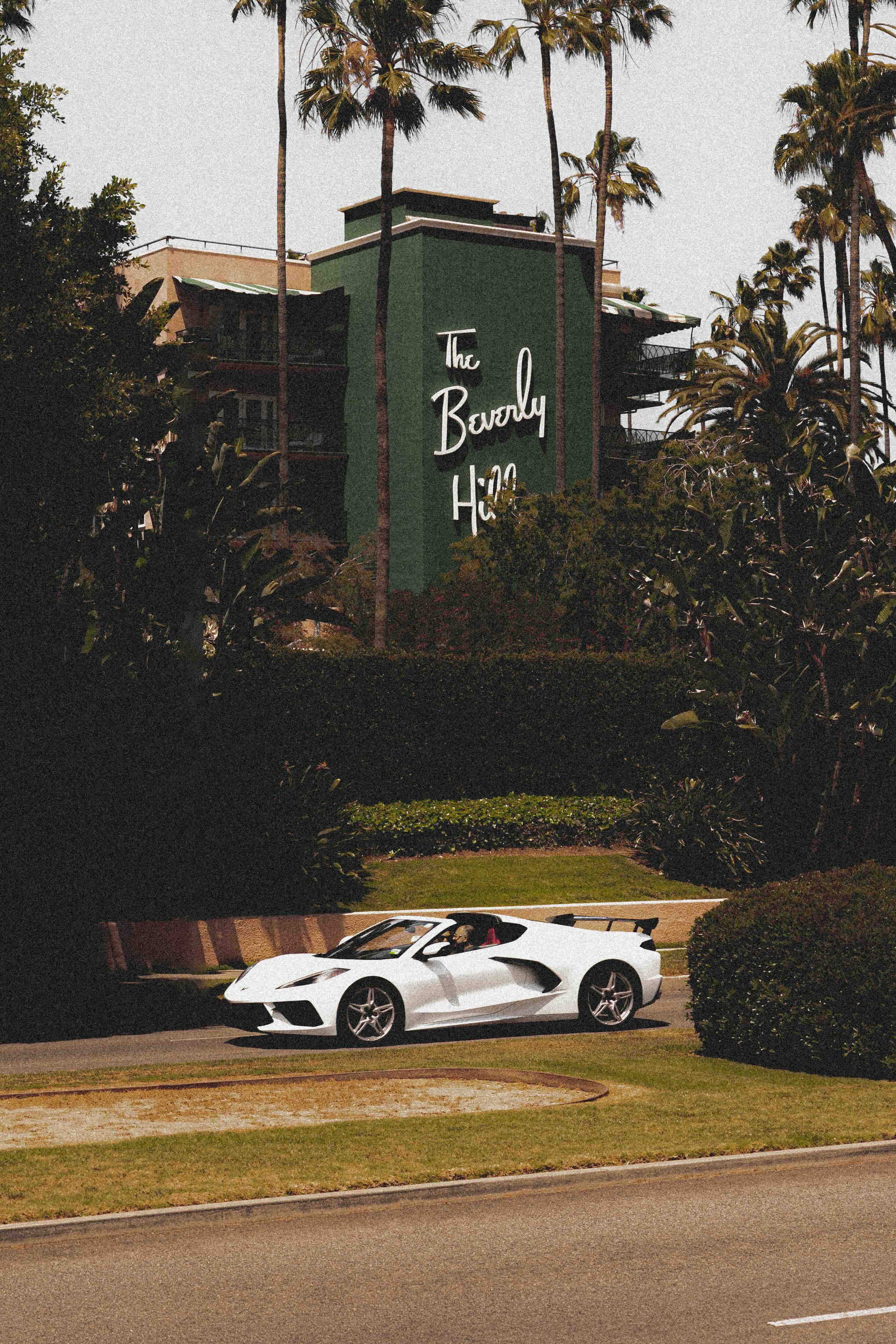 The Beverly Hills - Wall of Venus