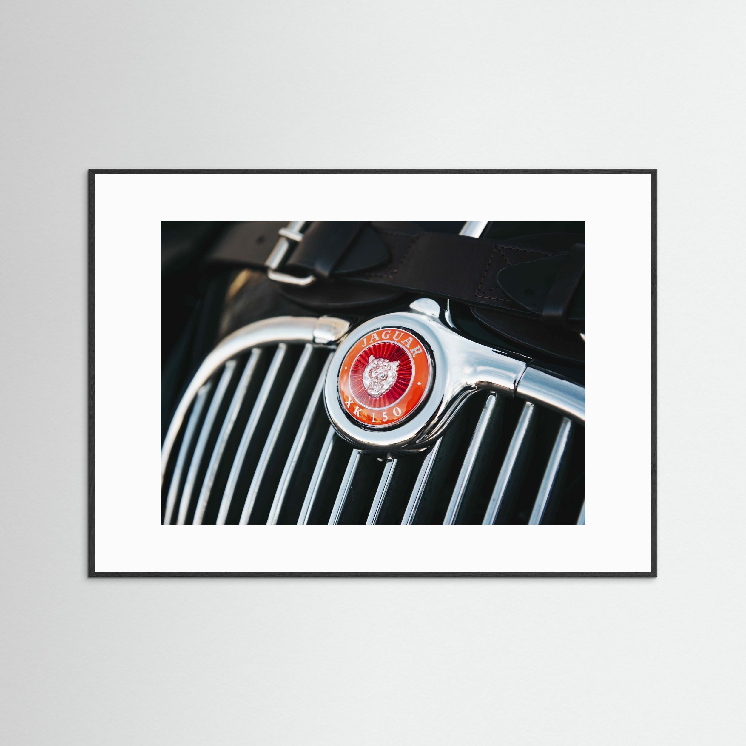 Jaguar Noblesse II