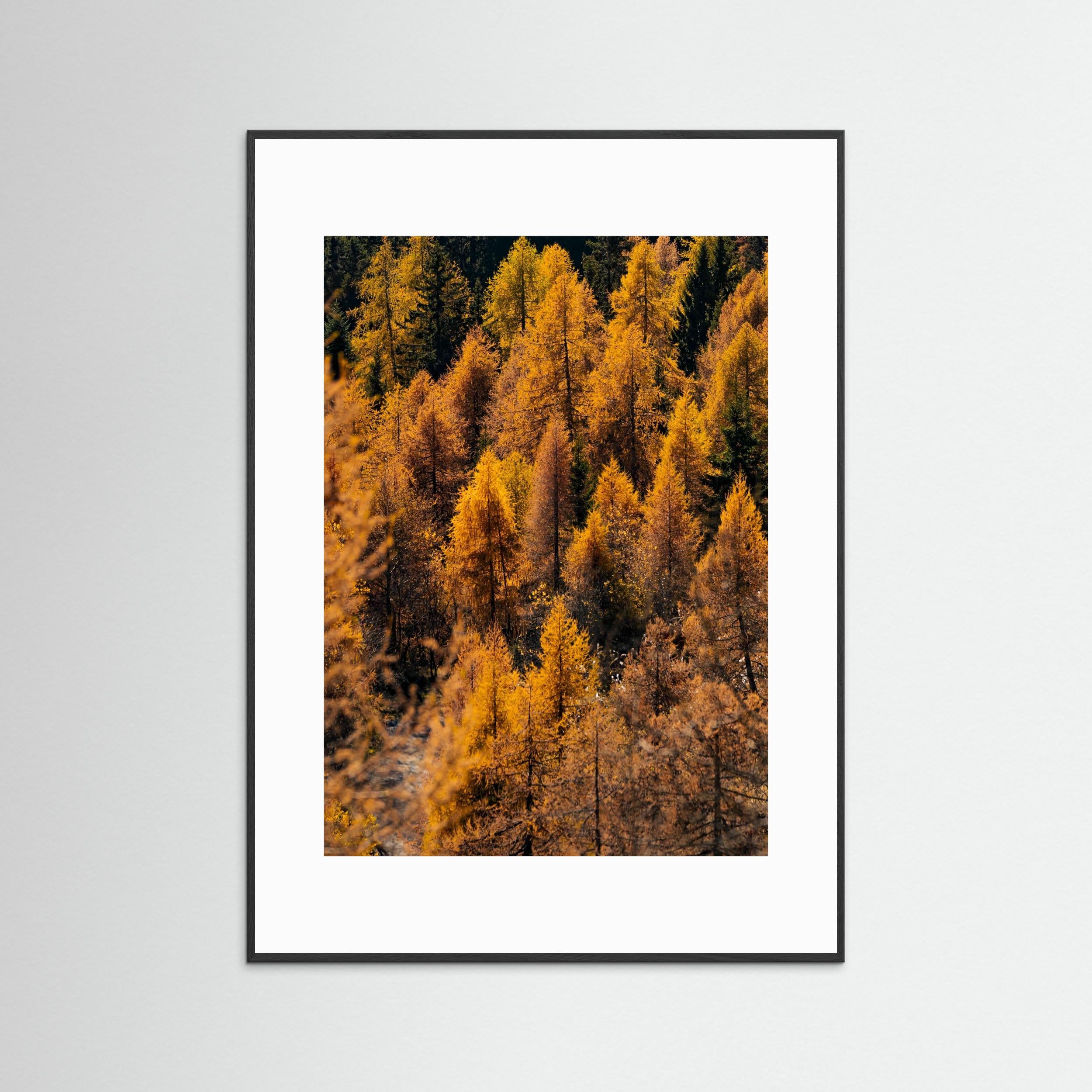 Foliage