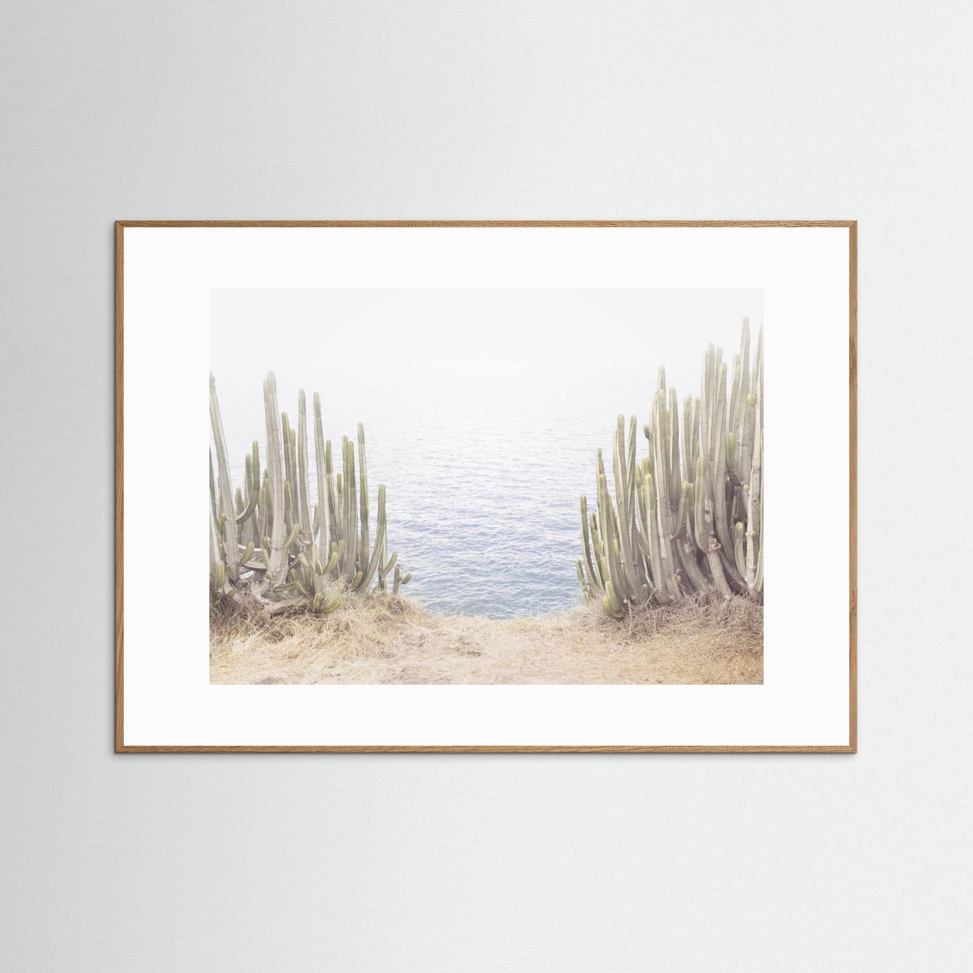 Ocean Cactus