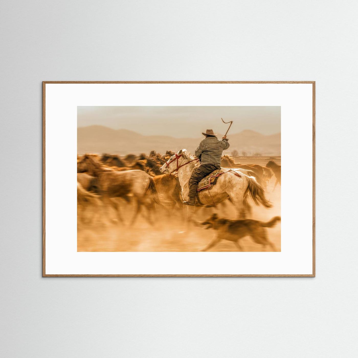 Wild horses (aka Yılkı Atları)